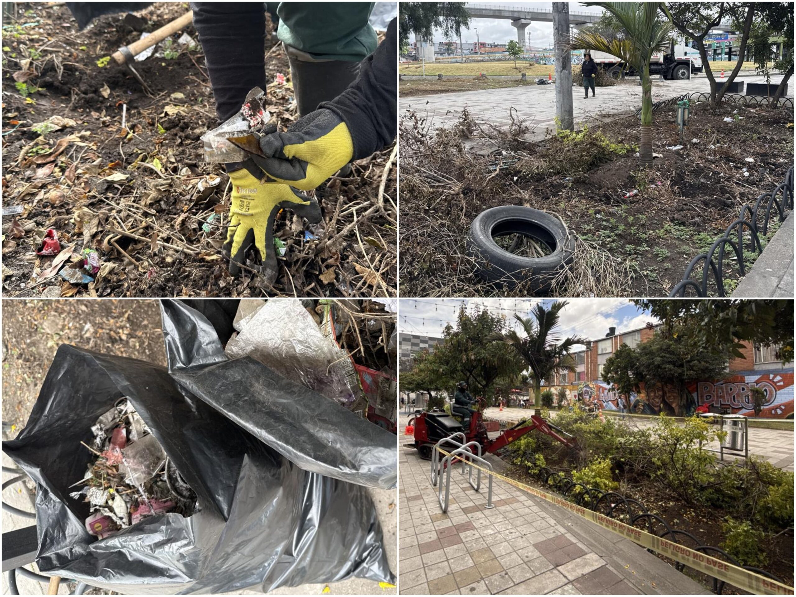 Historias del verde urbano: ¡Alianza con el centro comercial Plaza de las Américas arrojó su primer fruto jardinero! Historias del verde urbano: ¡Alianza con el centro comercial Plaza de las Américas arrojó su primer fruto jardinero!