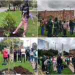 Historias del verde urbano: Bogotá recibió cerca de 500 “regalos verdes” durante la celebración del Día Mundial del Árbol Historias del verde urbano: Bogotá recibió cerca de 500 “regalos verdes” durante la celebración del Día Mundial del Árbol