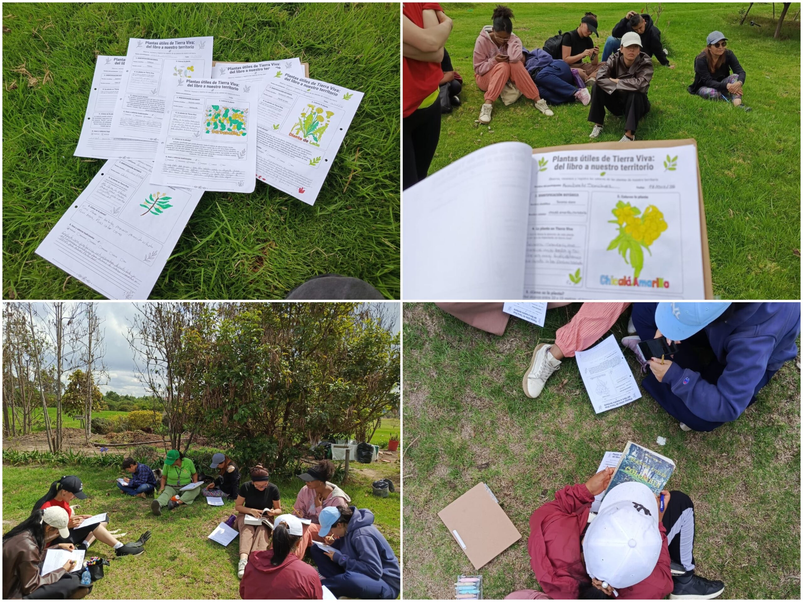 Historias del verde urbano: “Educación ambiental arbórea” en seis localidades de Bogotá
