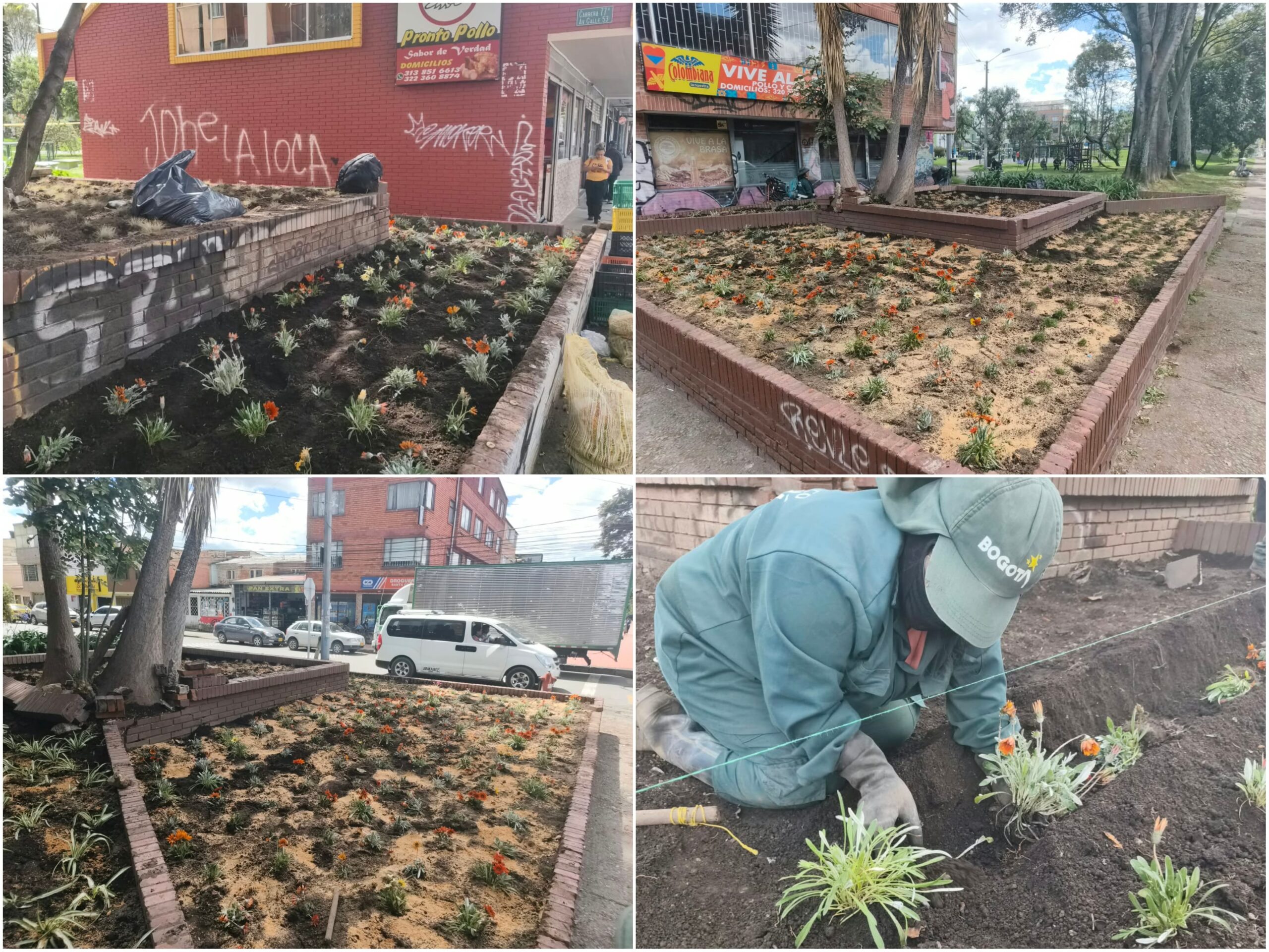Historias del verde urbano: ¡Dos jardines longevos de Santa Cecilia volvieron a la vida! Historias del verde urbano: ¡Dos jardines longevos de Santa Cecilia volvieron a la vida!
