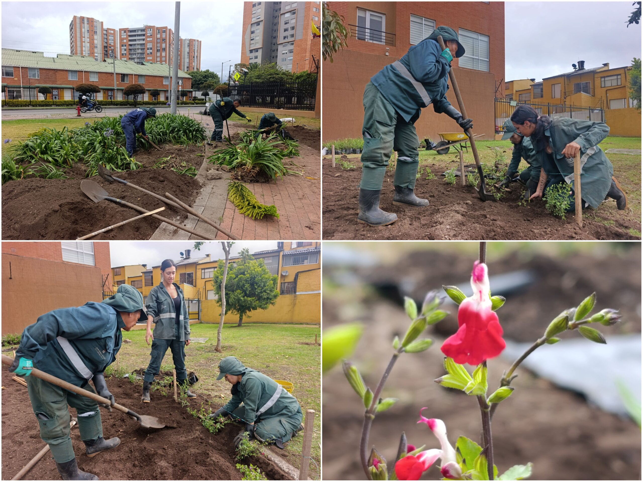 Historias del verde urbano: ¡Nace un nuevo hogar para las abejas, mariposas y otros polinizadores en Suba! Historias del verde urbano: ¡Nace un nuevo hogar para las abejas, mariposas y otros polinizadores en Suba!