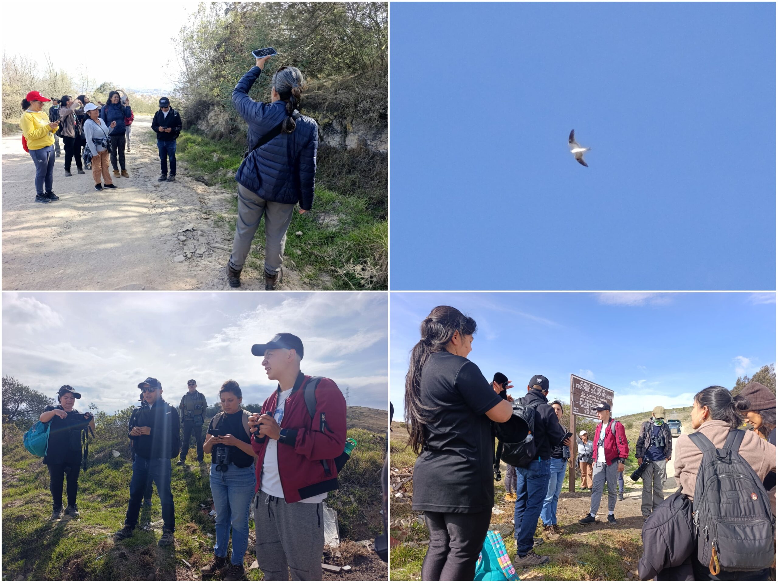Historias del verde urbano: Guardianes del Parkway y Canal Boyacá conocieron el mayor tesoro “alado” de Cerro Seco
