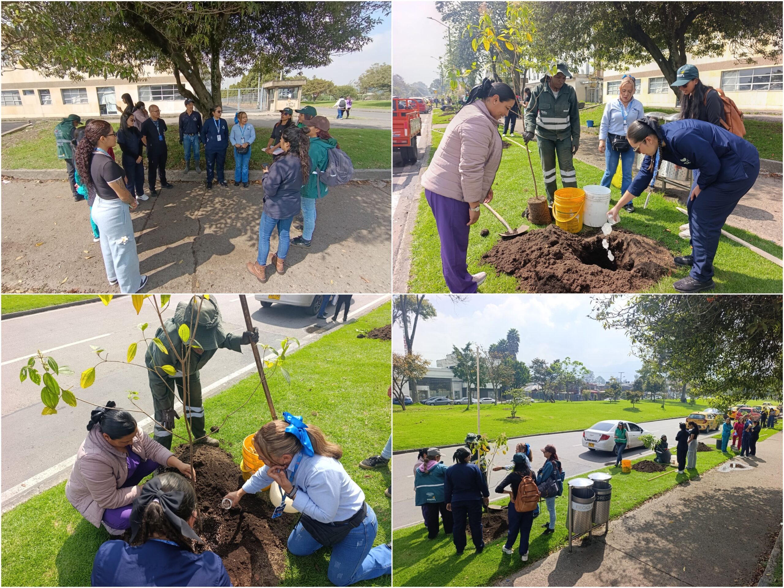 Historias del verde urbano: El bosque urbano La Esmeralda suma nuevos guardianes del arbolado