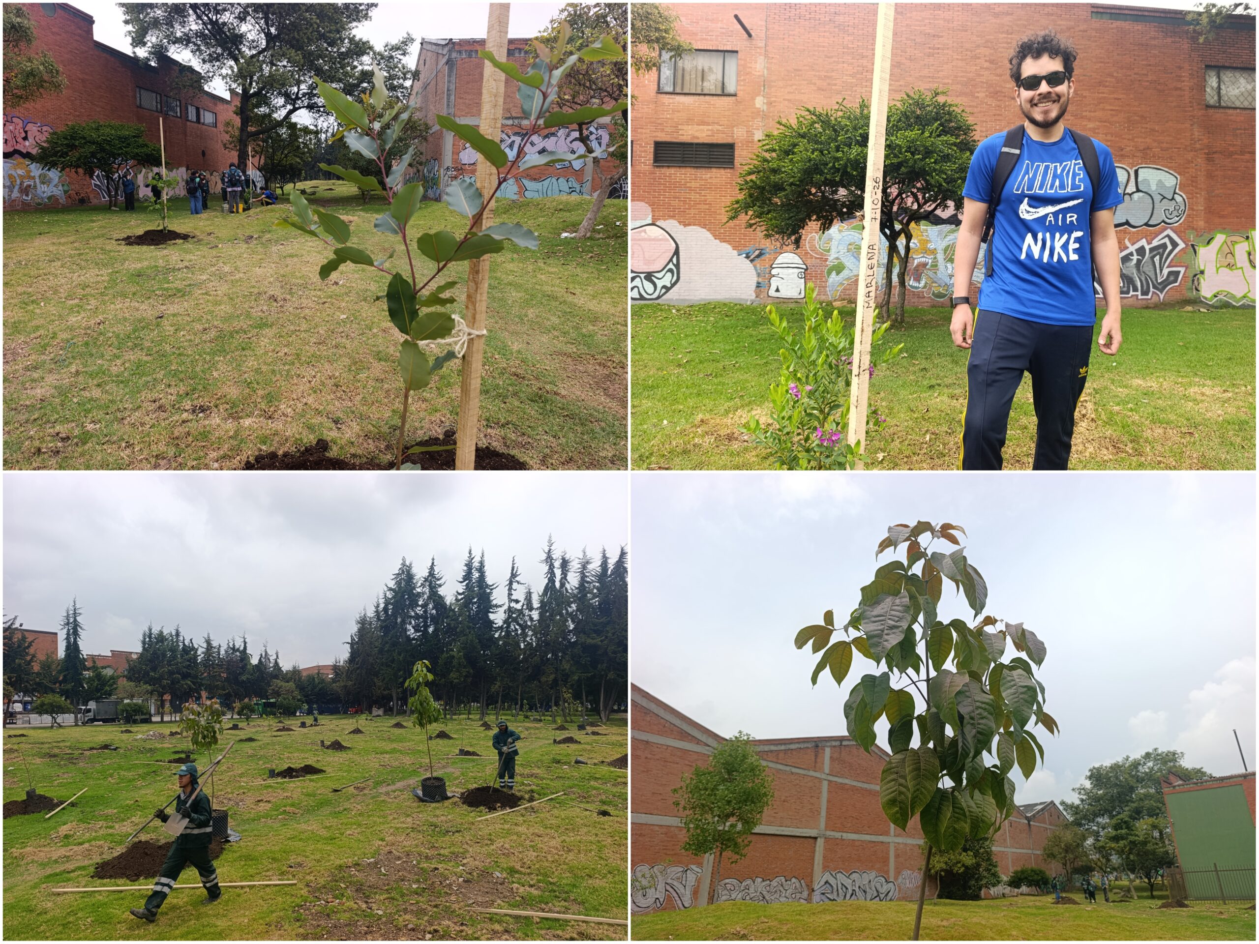 Historias del verde urbano: ¡La renatura