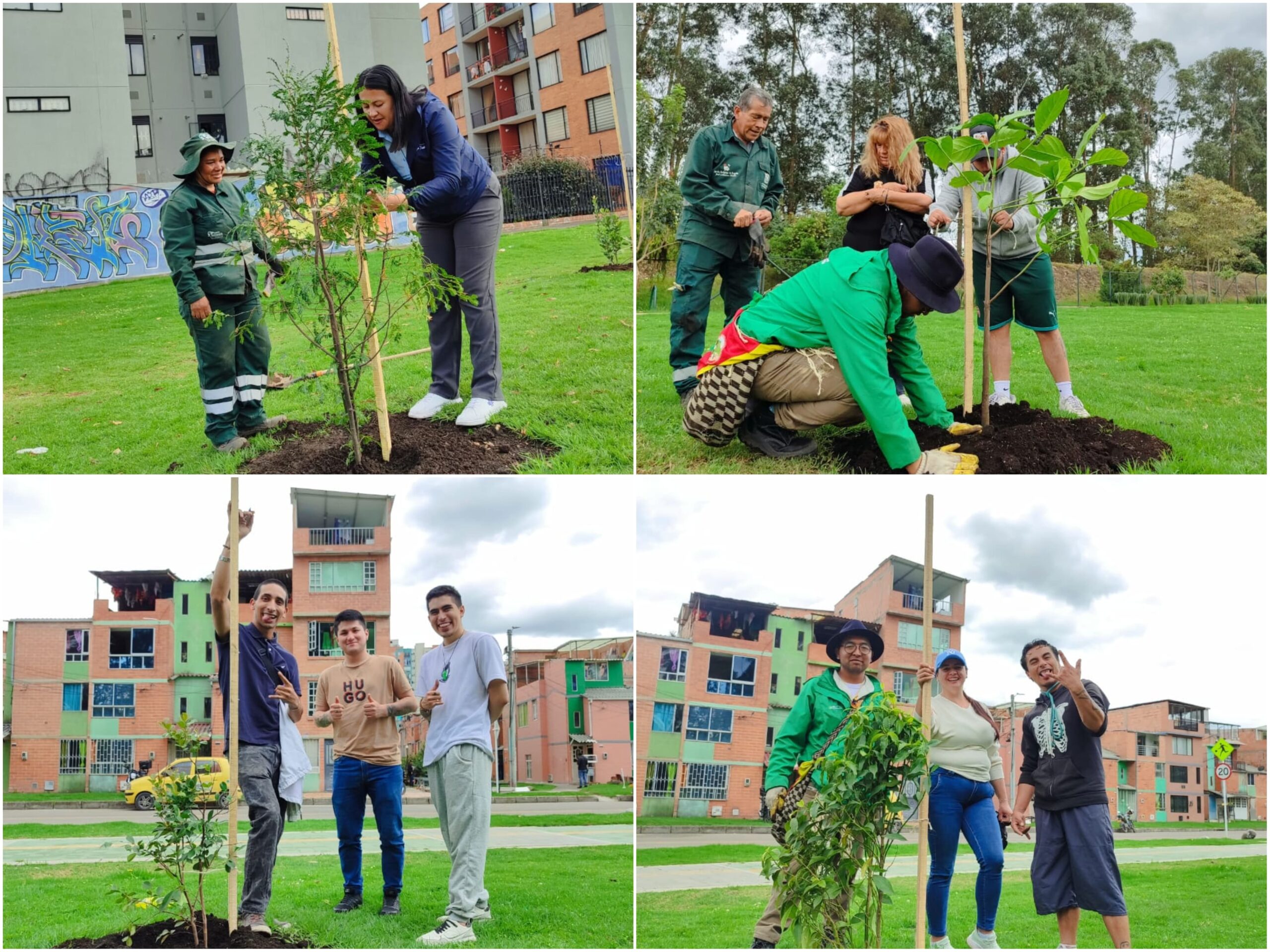 Historias del verde urbano: Cinco parques de Suba se renaturalizaron con más de 100 nuevos árboles y arbustos
