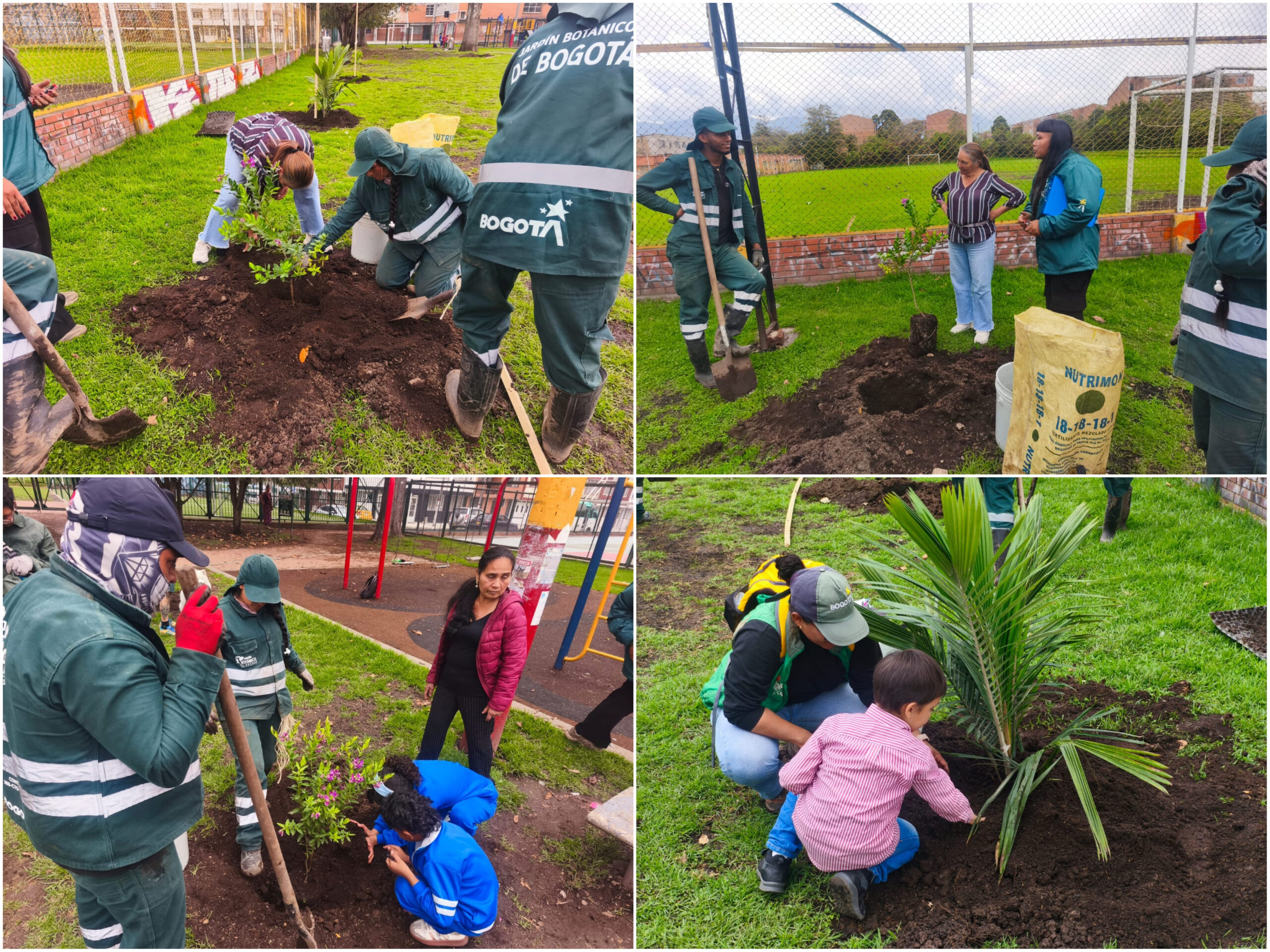 Historias del verde urbano: ¡Engativá renaturaliza sus parques y canales!