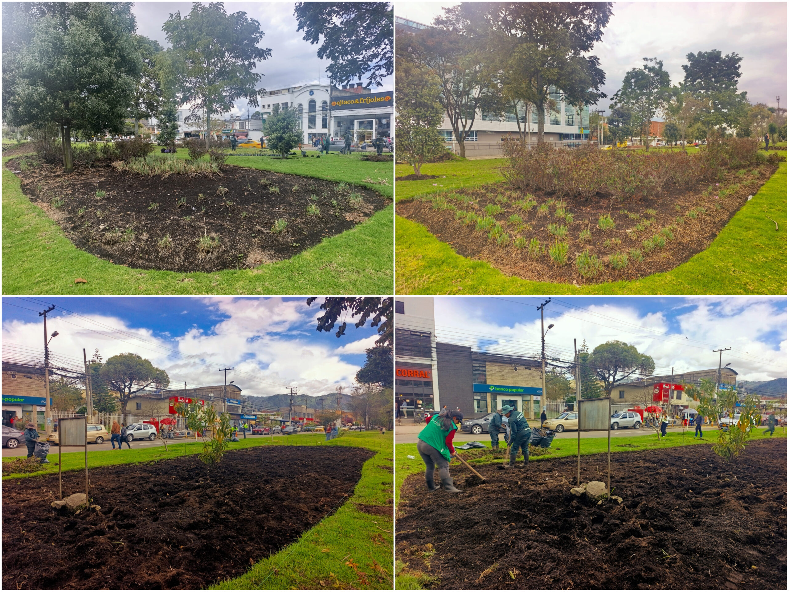 Historias del verde urbano: ¡Renovación jardinera en La Esmeralda! Historias del verde urbano: ¡Renovación jardinera en La Esmeralda!