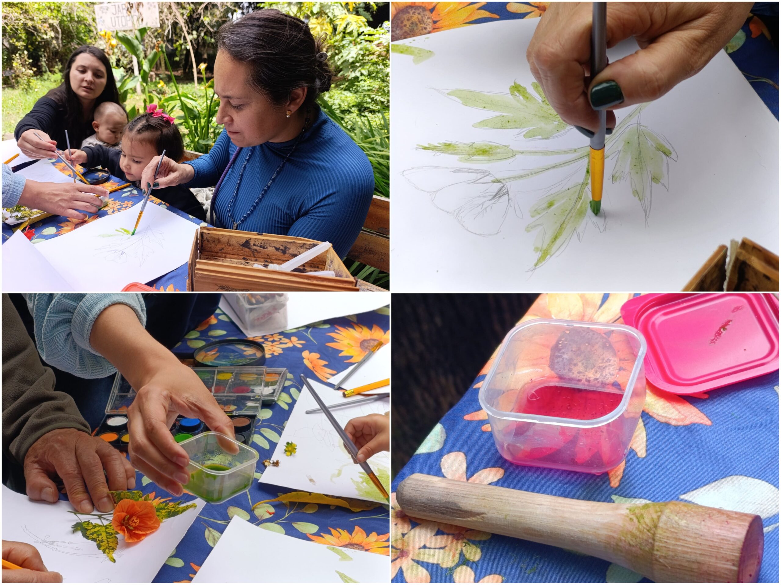 Historias del verde urbano: “Maratón” de actividades ambientales en los bosques urbanos de Bogotá