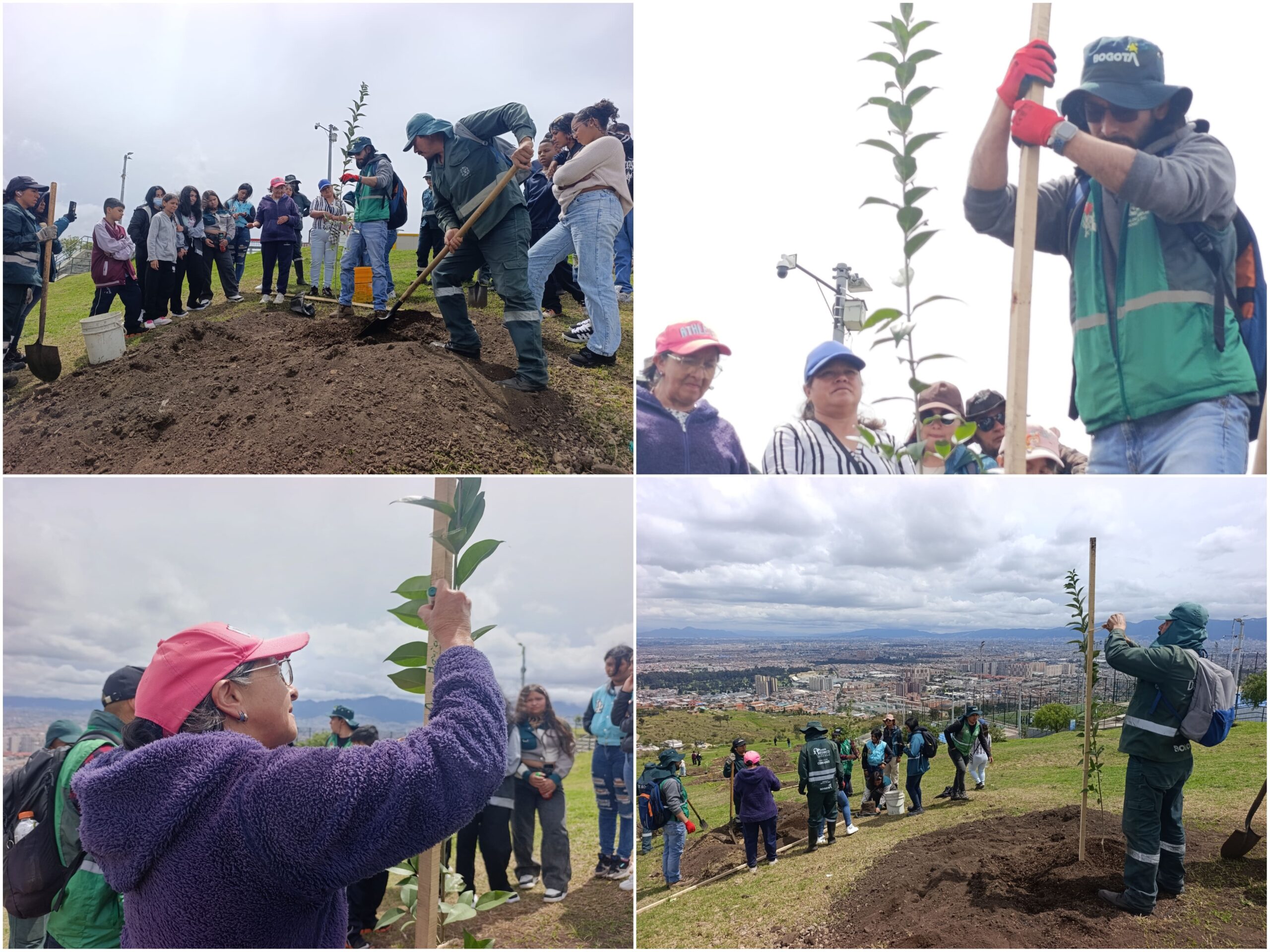 Historias del verde urbano: Ciudad Bolívar se sumó al llamado planetario contra el cambio climático Historias del verde urbano: Ciudad Bolívar se sumó al llamado planetario contra el cambio climático
