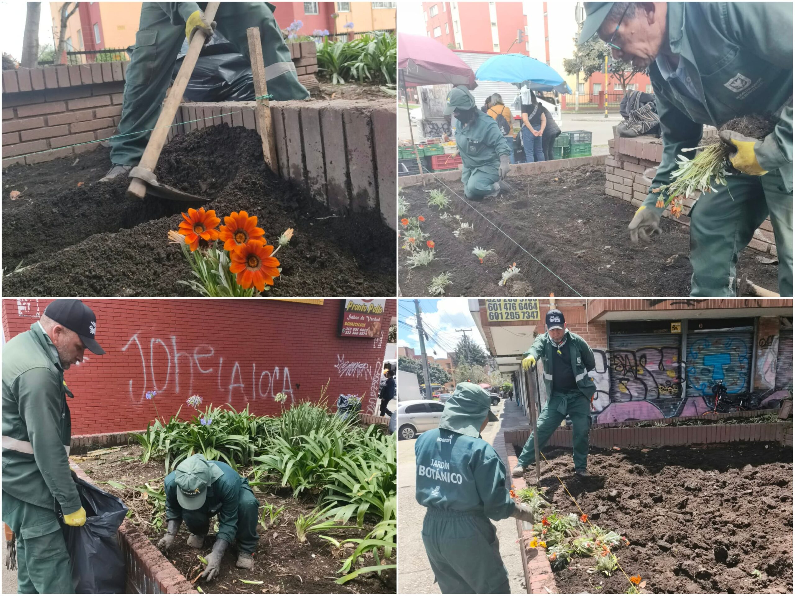 Historias del verde urbano: ¡Dos jardines longevos de Santa Cecilia volvieron a la vida!