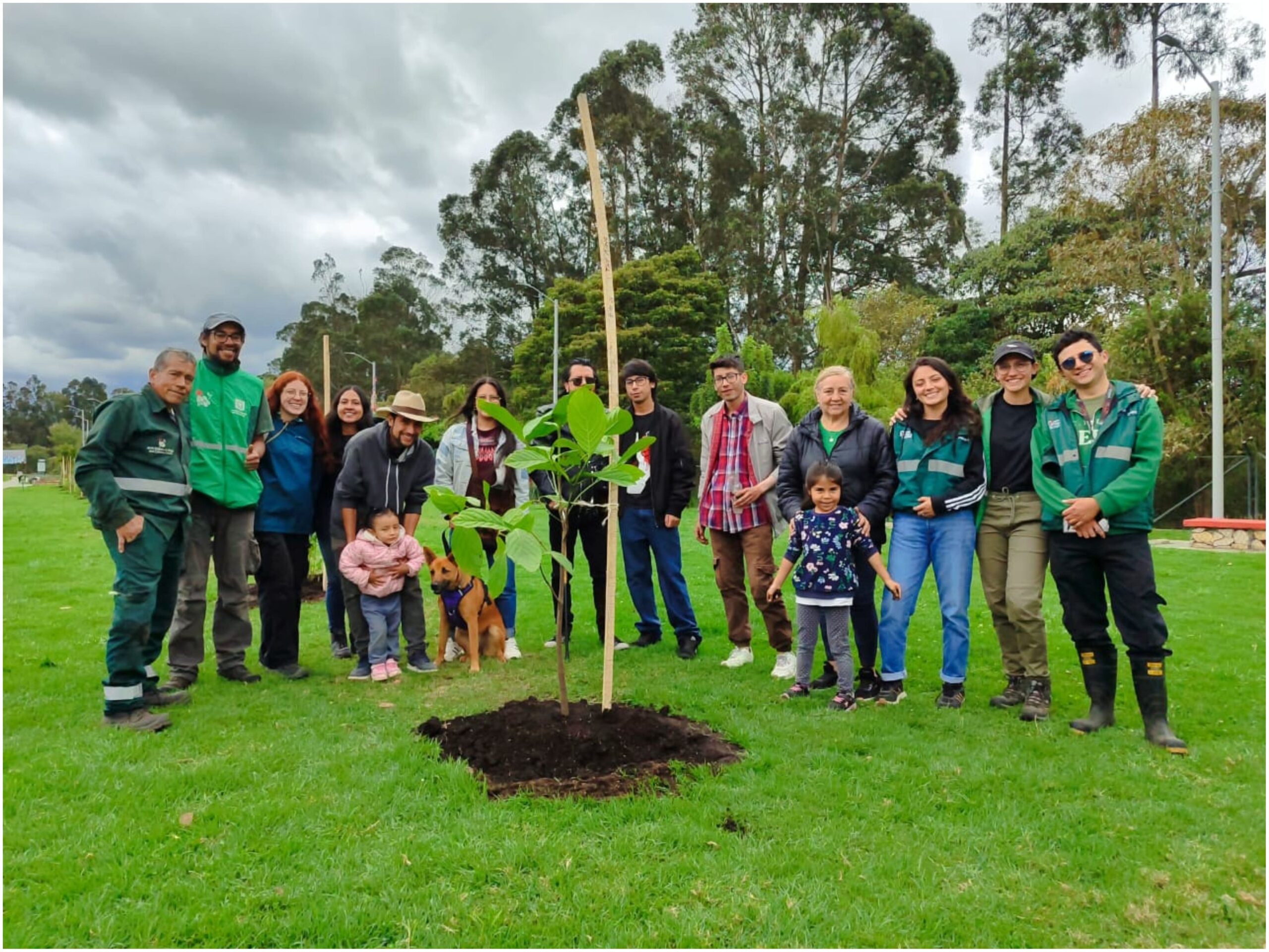 Historias del verde urbano: Cinco parques de Suba se renaturalizaron con más de 100 nuevos árboles y arbustos