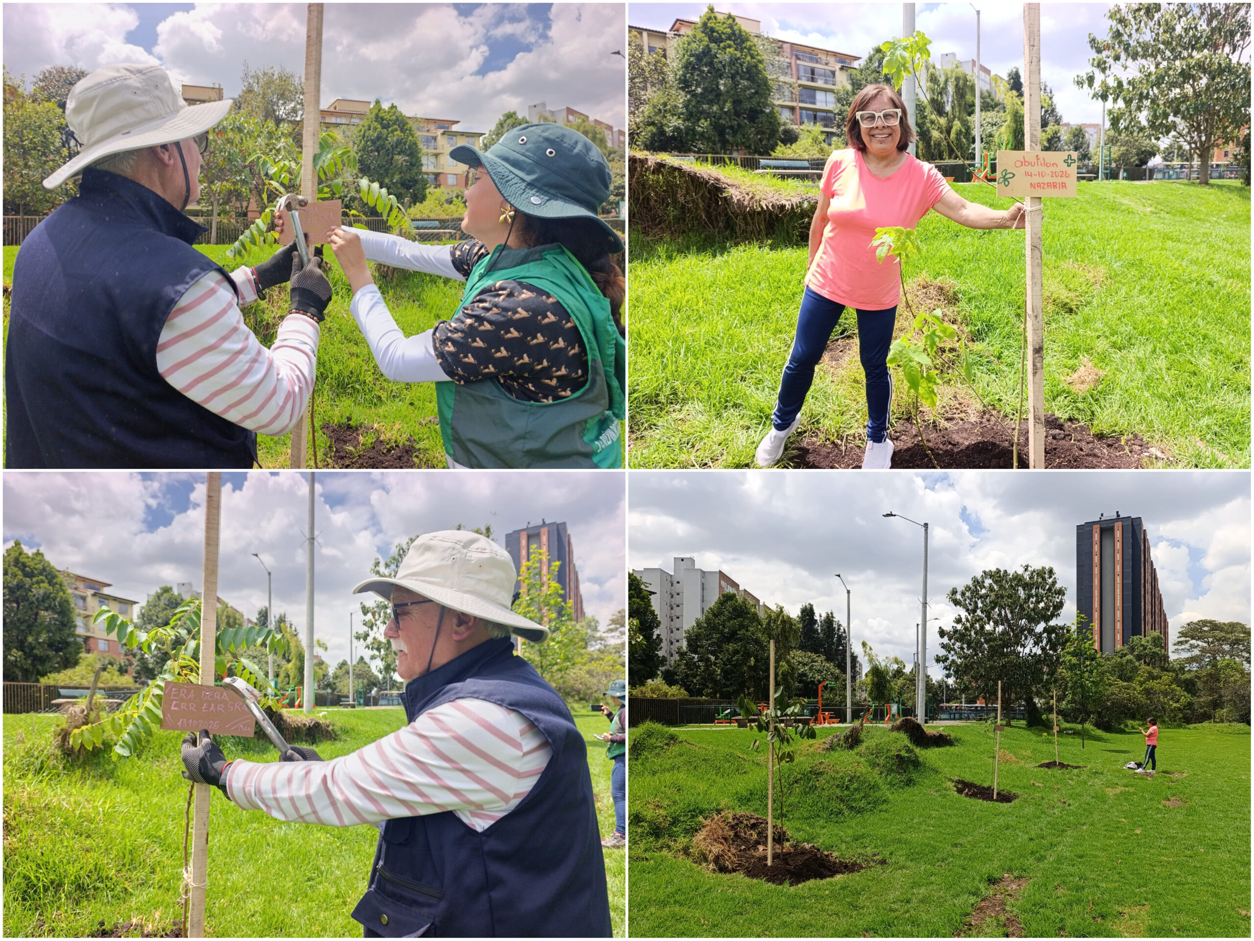 Historias del verde urbano: Canal Boyacá fortaleció su gran tesoro verde: el arbolado Historias del verde urbano: Canal Boyacá fortaleció su gran tesoro verde: el arbolado