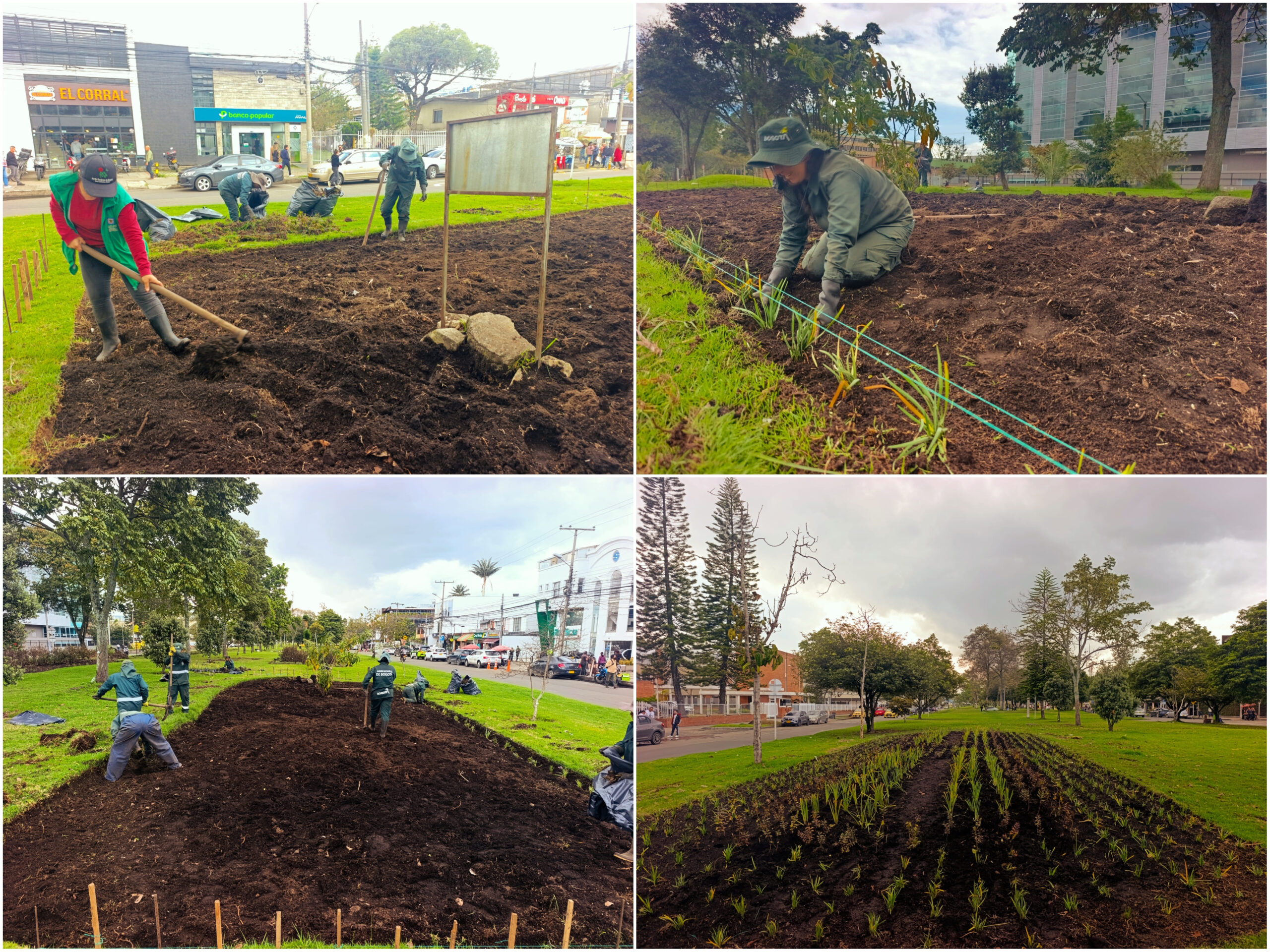 Historias del verde urbano: ¡Renovación jardinera en La Esmeralda! Historias del verde urbano: ¡Renovación jardinera en La Esmeralda!