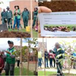 Historias del verde urbano: Bogotá recibió cerca de 500 “regalos verdes” durante la celebración del Día Mundial del Árbol Historias del verde urbano: Bogotá recibió cerca de 500 “regalos verdes” durante la celebración del Día Mundial del Árbol