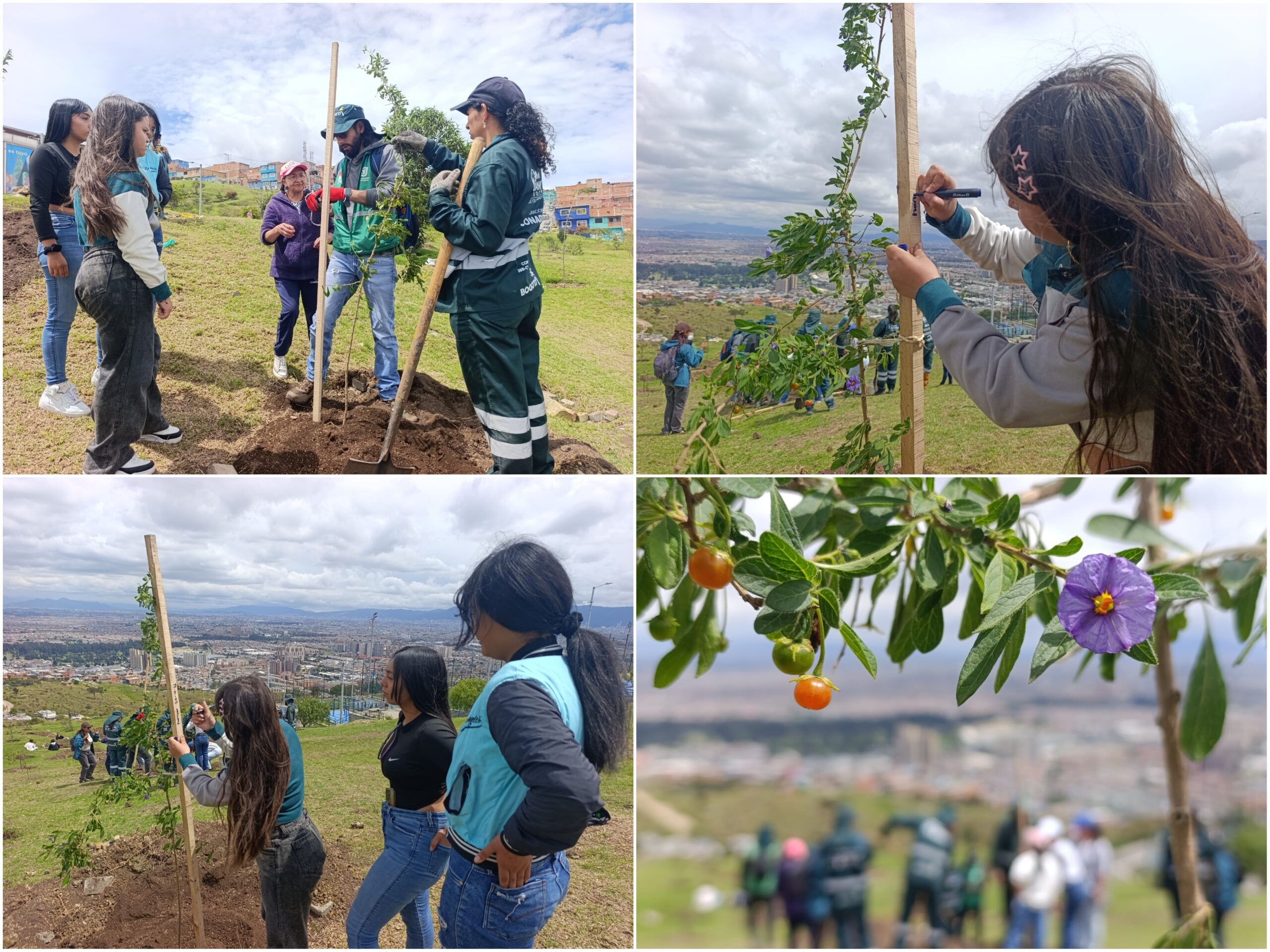 Historias del verde urbano: Ciudad Bolívar se sumó al llamado planetario contra el cambio climático Historias del verde urbano: Ciudad Bolívar se sumó al llamado planetario contra el cambio climático