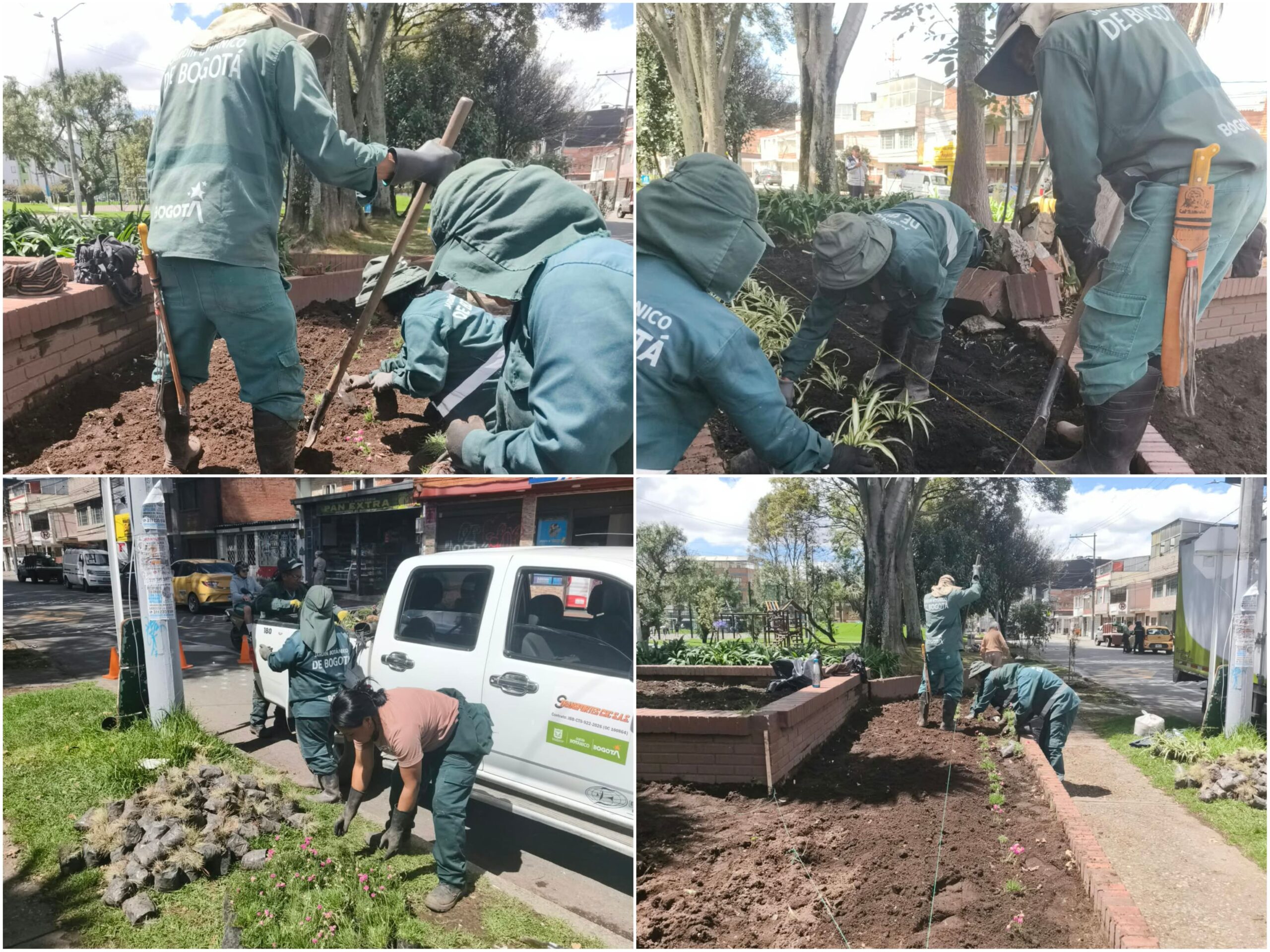 Historias del verde urbano: ¡Dos jardines longevos de Santa Cecilia volvieron a la vida! Historias del verde urbano: ¡Dos jardines longevos de Santa Cecilia volvieron a la vida!