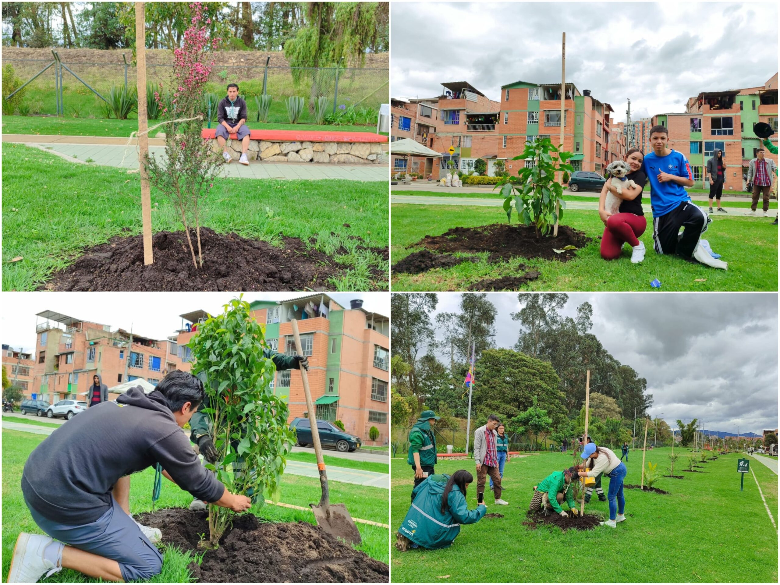 Historias del verde urbano: Cinco parques de Suba se renaturalizaron con más de 100 nuevos árboles y arbustos