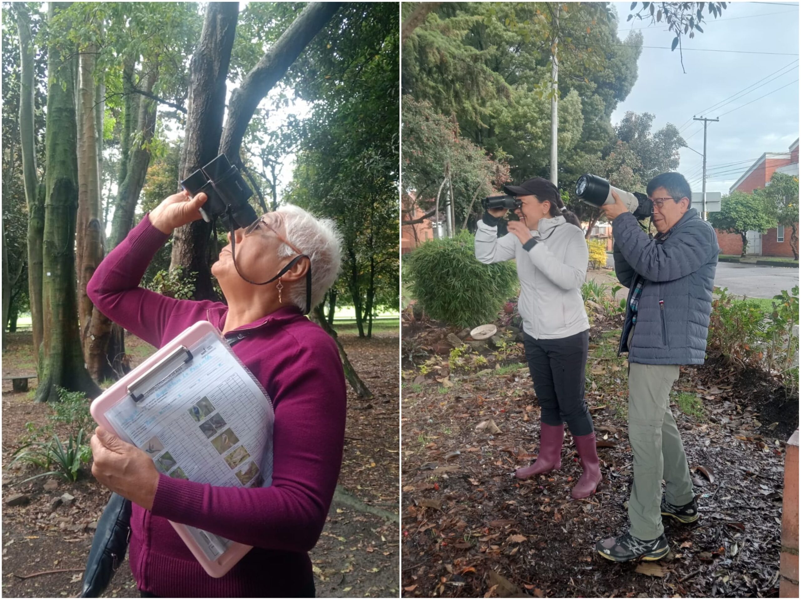 Historias del verde urbano: ¡Pajareadas en seis bosques urbanos de Bogotá durante el October Big Day! Historias del verde urbano: ¡Pajareadas en seis bosques urbanos de Bogotá durante el October Big Day!