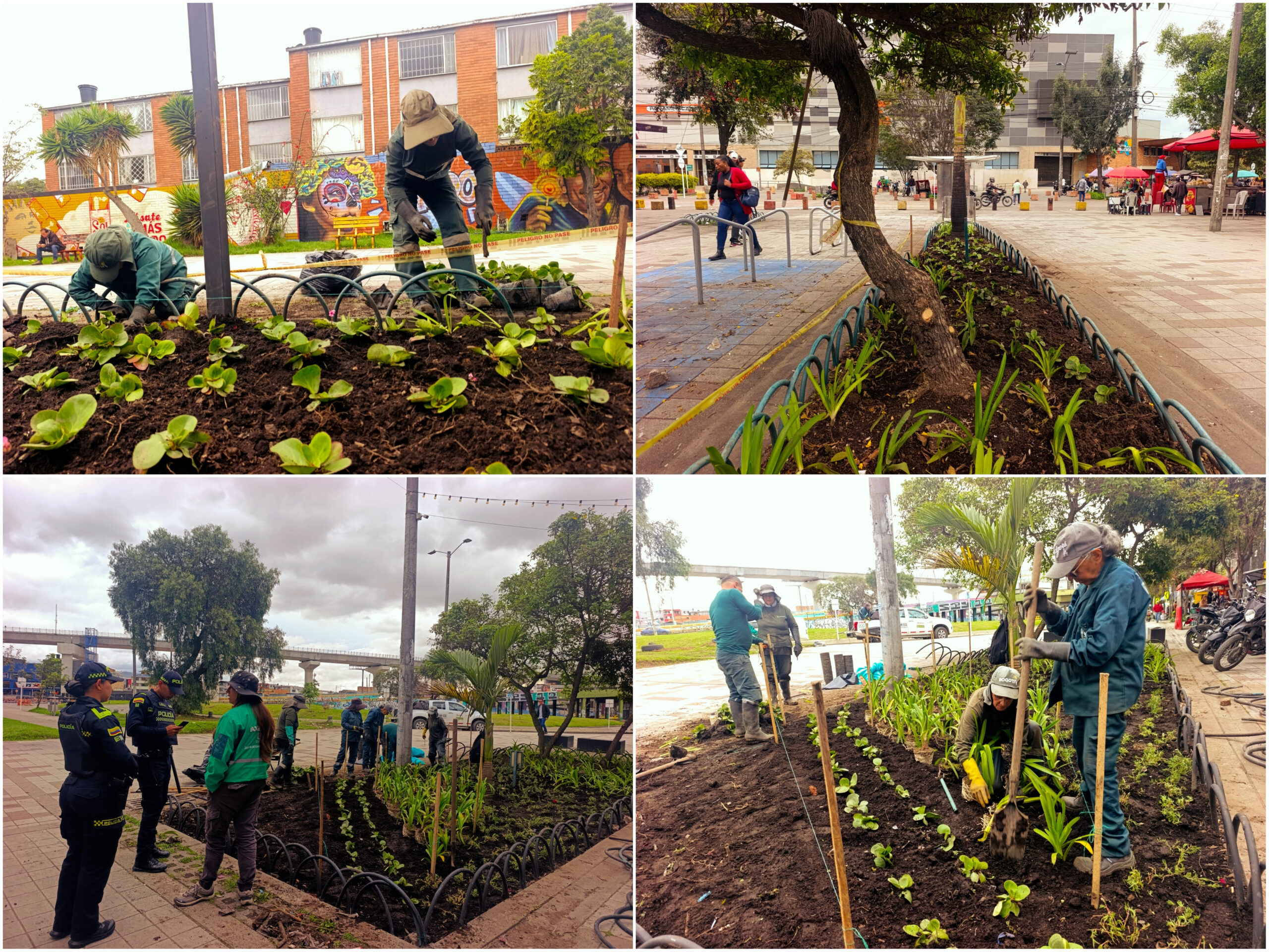 Historias del verde urbano: ¡Alianza con el centro comercial Plaza de las Américas arrojó su primer fruto jardinero! Historias del verde urbano: ¡Alianza con el centro comercial Plaza de las Américas arrojó su primer fruto jardinero!