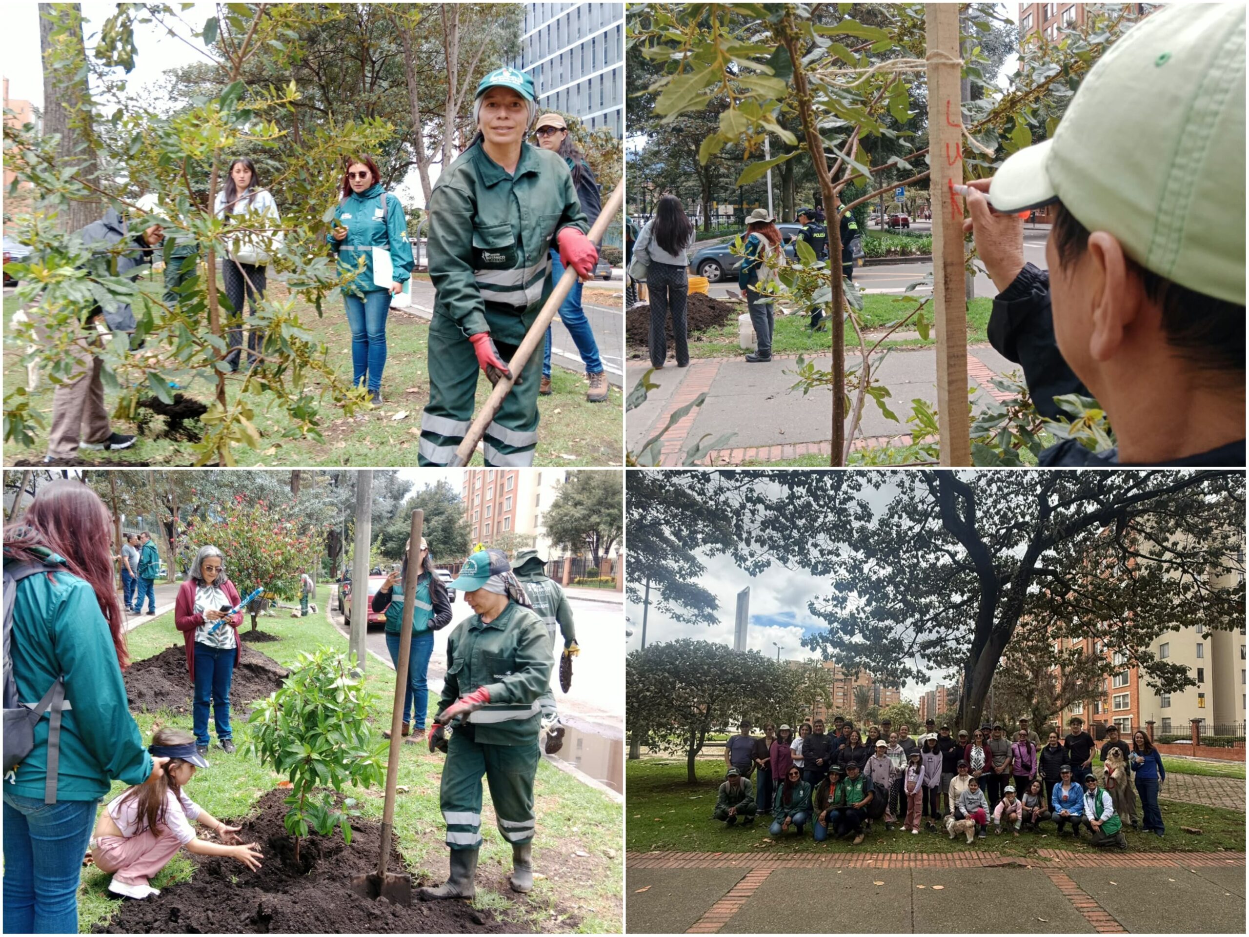Historias del verde urbano: Bogotá recibió cerca de 500 “regalos verdes” durante la celebración del Día Mundial del Árbol Historias del verde urbano: Bogotá recibió cerca de 500 “regalos verdes” durante la celebración del Día Mundial del Árbol