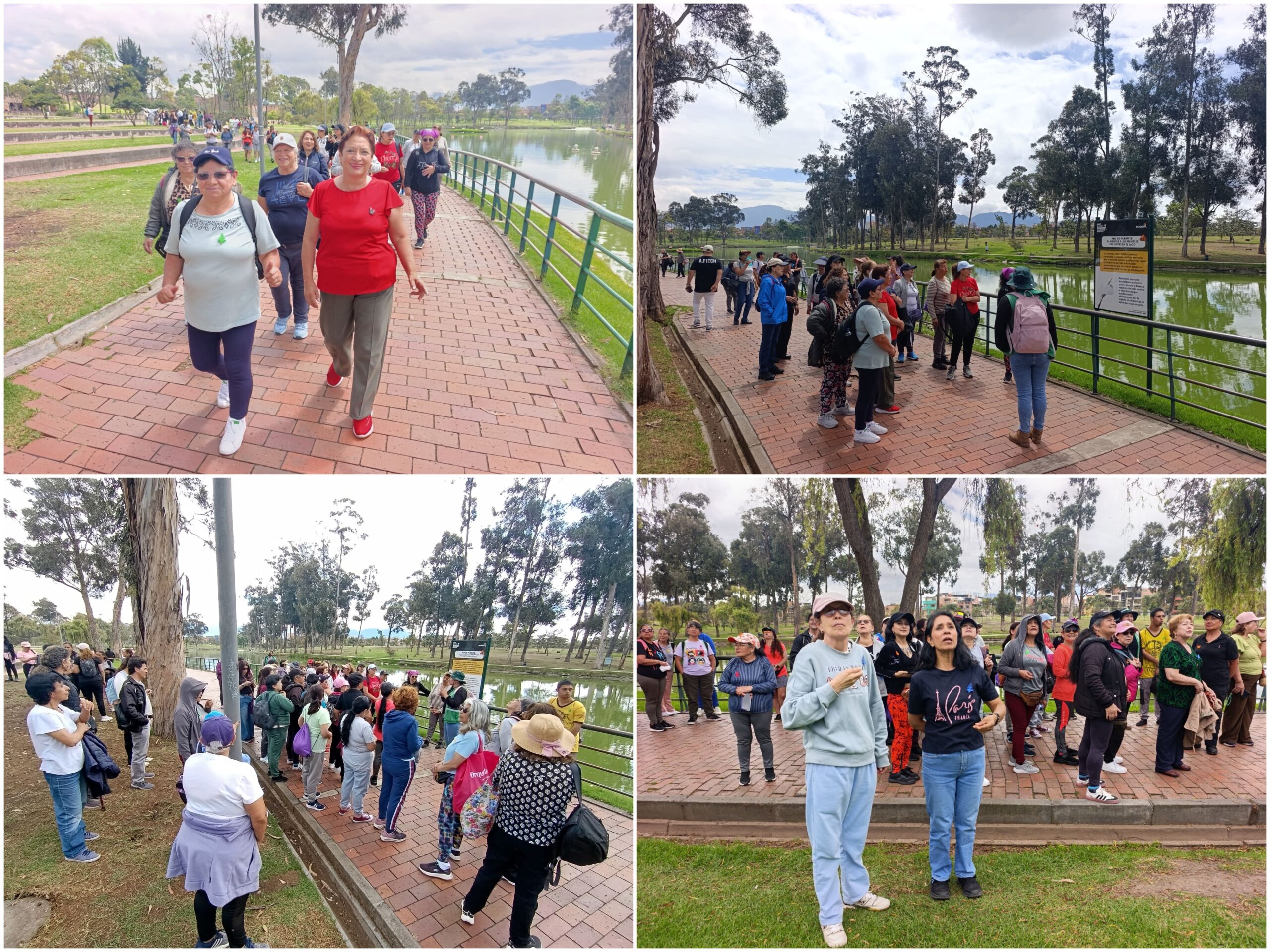 Historias del verde urbano : “Mujeres, raíces y derechos”: un encuentro que ayudó a renaturalizar el parque Timiza Historias del verde urbano : “Mujeres, raíces y derechos”: un encuentro que ayudó a renaturalizar el parque Timiza