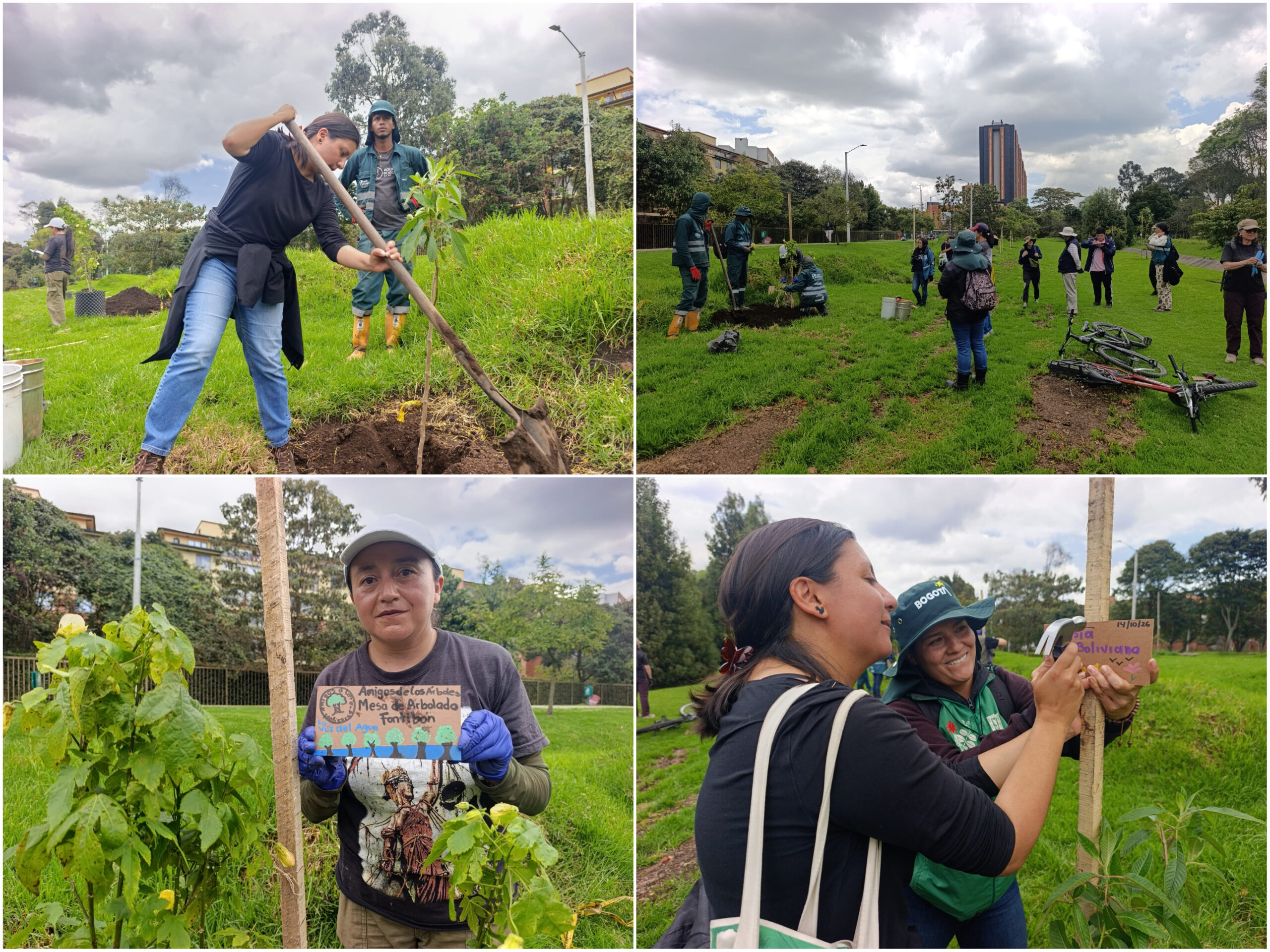 Historias del verde urbano: Canal Boyacá fortaleció su gran tesoro verde: el arbolado Historias del verde urbano: Canal Boyacá fortaleció su gran tesoro verde: el arbolado