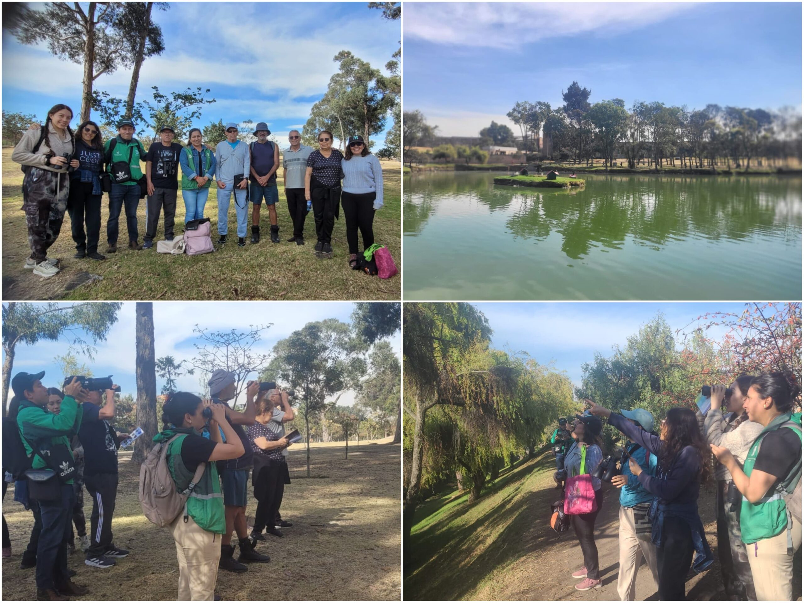 Historias del verde urbano: “Maratón” de actividades ambientales en los bosques urbanos de Bogotá