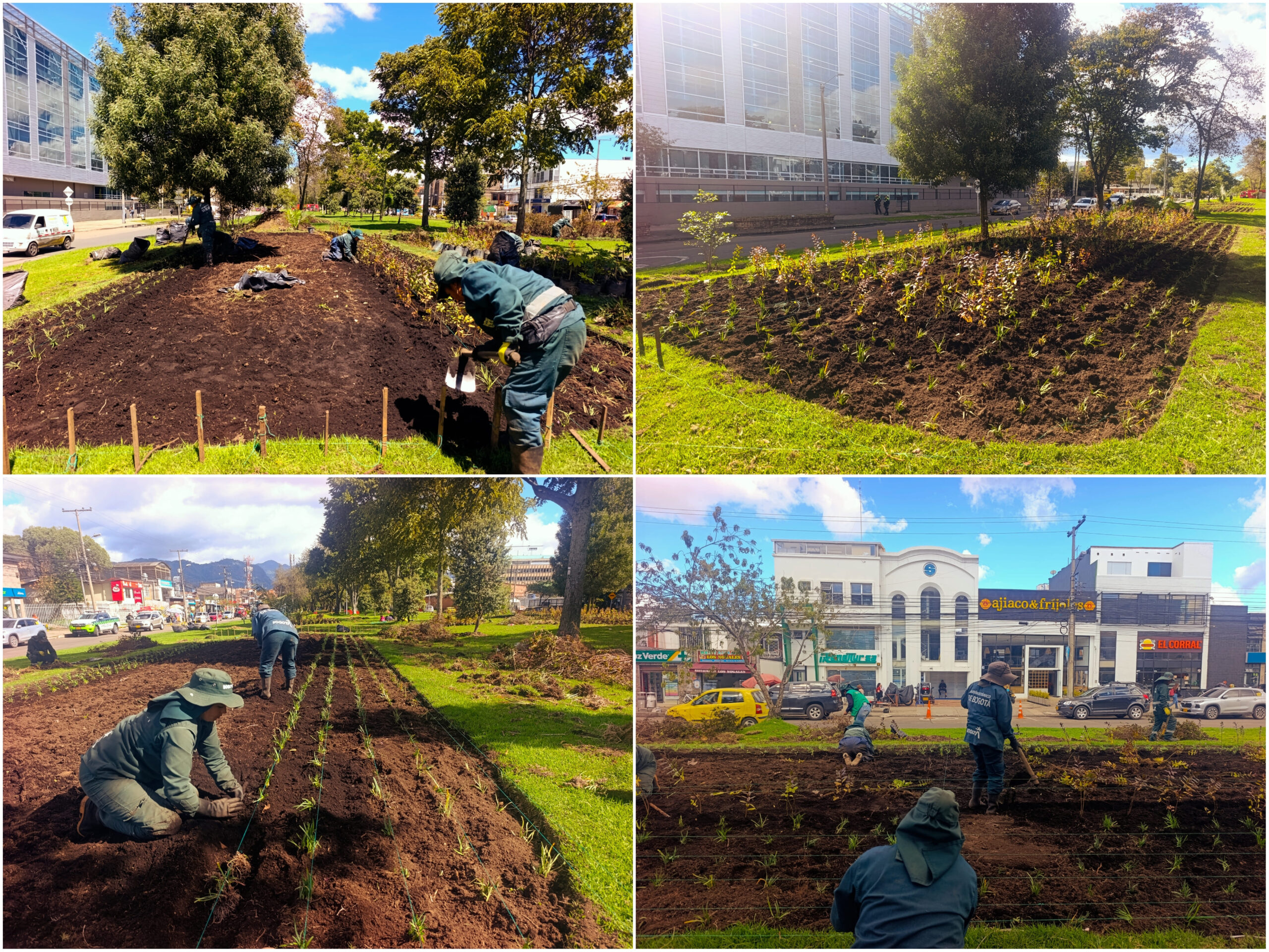 Historias del verde urbano: ¡Renovación jardinera en La Esmeralda! Historias del verde urbano: ¡Renovación jardinera en La Esmeralda!