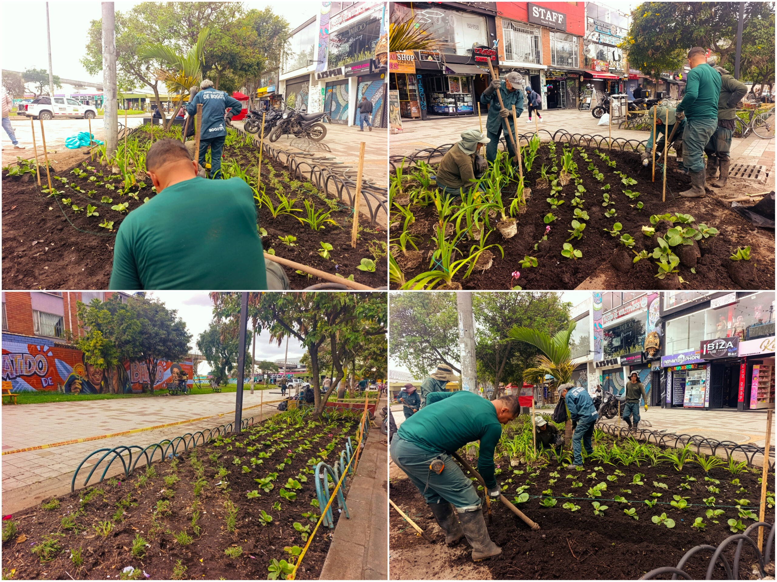 Historias del verde urbano: ¡Alianza con el centro comercial Plaza de las Américas arrojó su primer fruto jardinero! Historias del verde urbano: ¡Alianza con el centro comercial Plaza de las Américas arrojó su primer fruto jardinero!