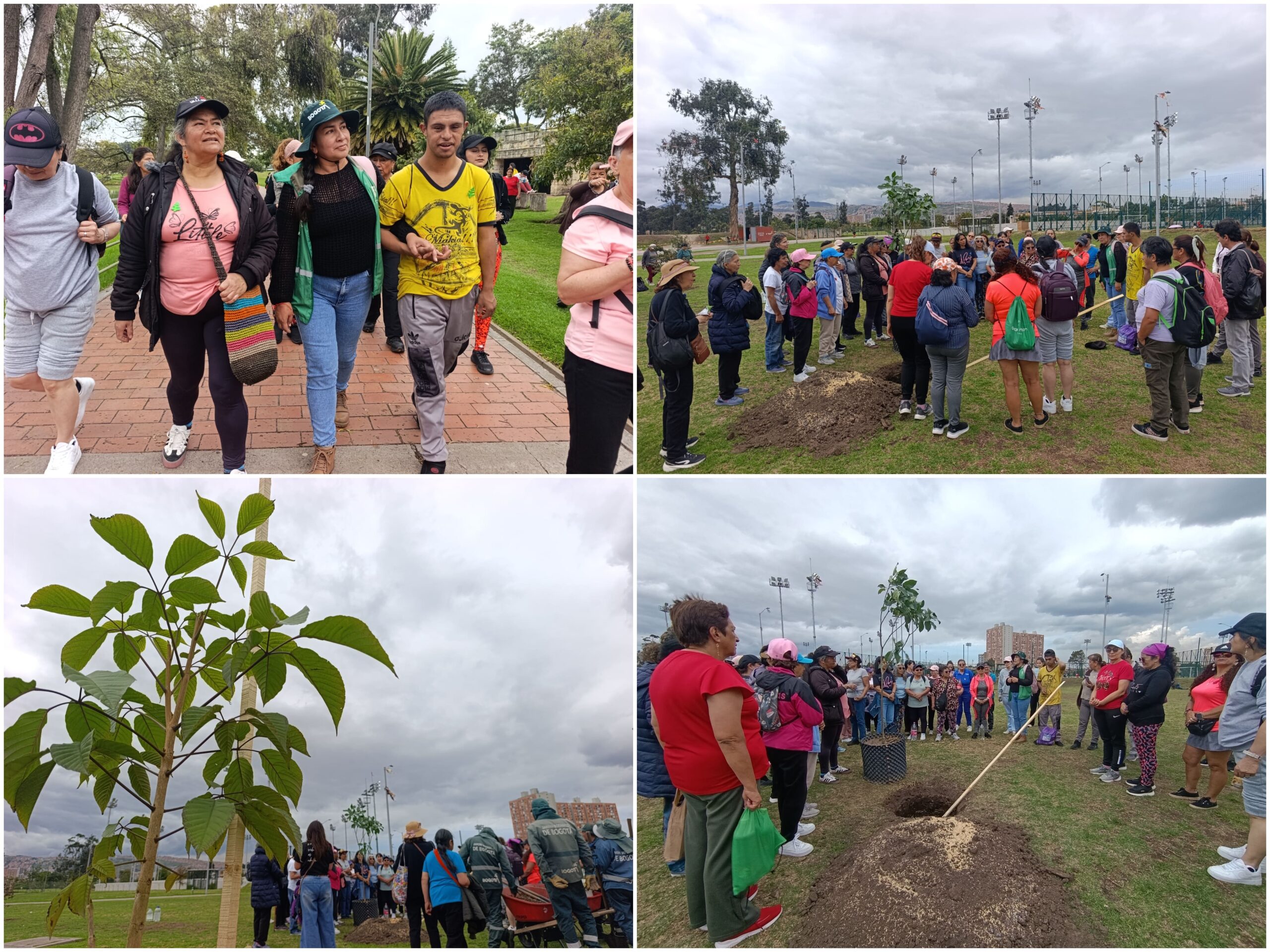Historias del verde urbano : “Mujeres, raíces y derechos”: un encuentro que ayudó a renaturalizar el parque Timiza Historias del verde urbano : “Mujeres, raíces y derechos”: un encuentro que ayudó a renaturalizar el parque Timiza