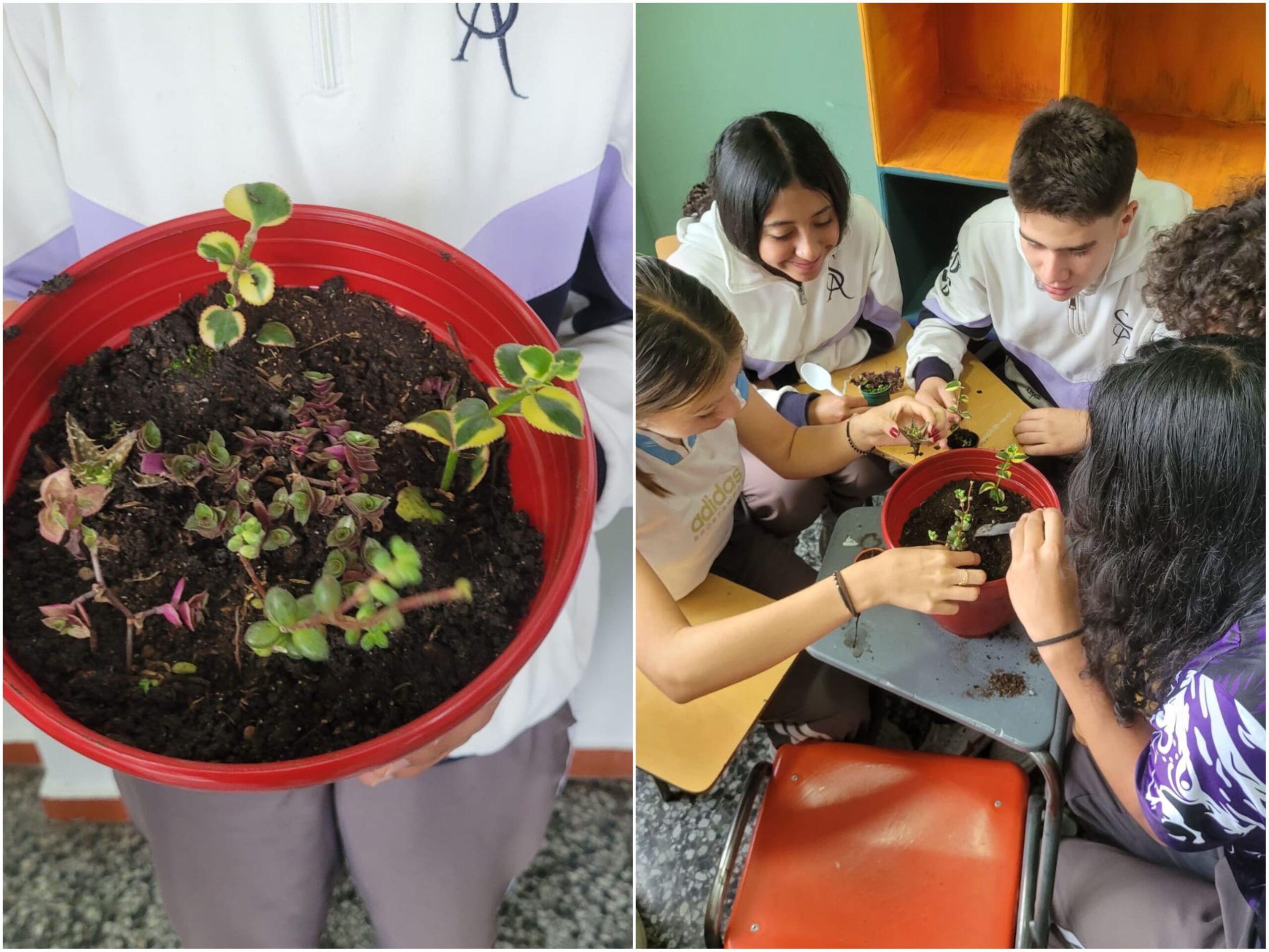 Historias del verde urbano: ¡Jóvenes de Kennedy hacen ciencia para transformar su territorio! Historias del verde urbano: ¡Jóvenes de Kennedy hacen ciencia para transformar su territorio!
