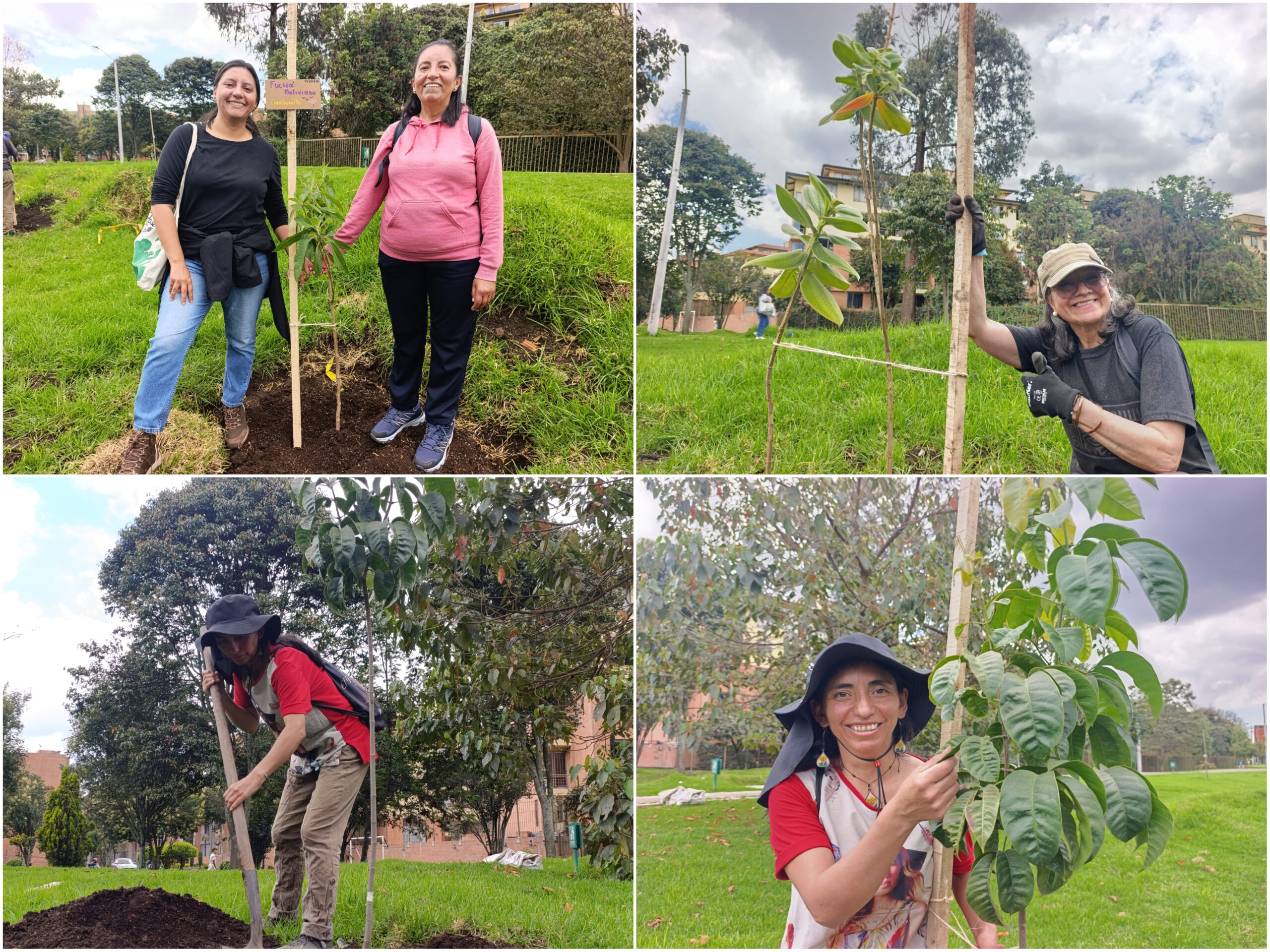 Historias del verde urbano: Canal Boyacá fortaleció su gran tesoro verde: el arbolado Historias del verde urbano: Canal Boyacá fortaleció su gran tesoro verde: el arbolado