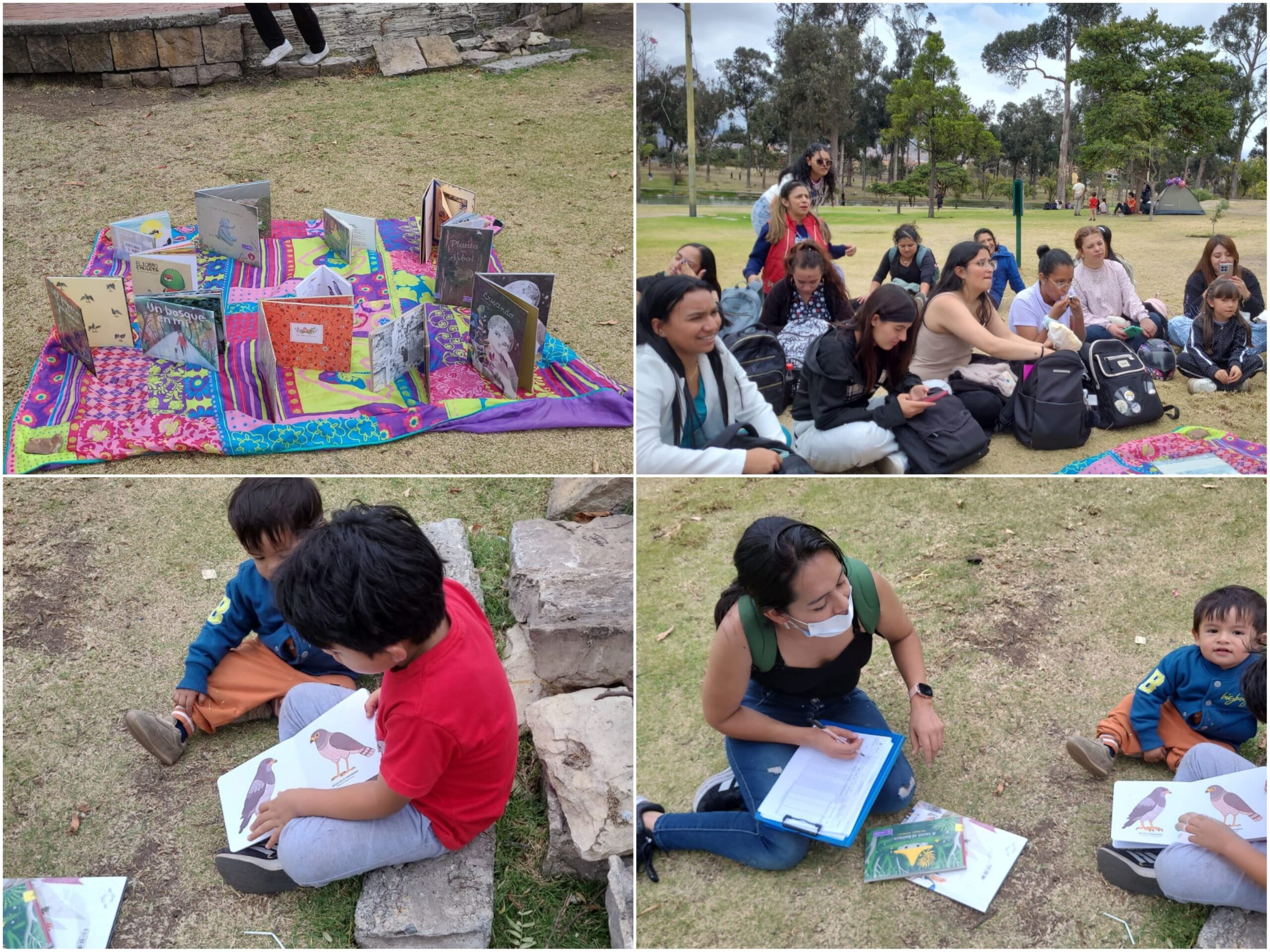 Historias del verde urbano: “Maratón” de actividades ambientales en los bosques urbanos de Bogotá