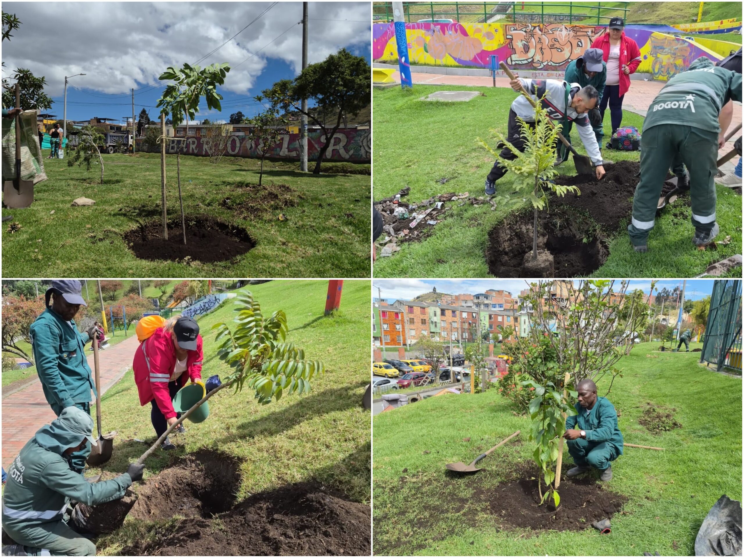 Historias del verde urbano: Bogotá recibió cerca de 500 “regalos verdes” durante la celebración del Día Mundial del Árbol Historias del verde urbano: Bogotá recibió cerca de 500 “regalos verdes” durante la celebración del Día Mundial del Árbol