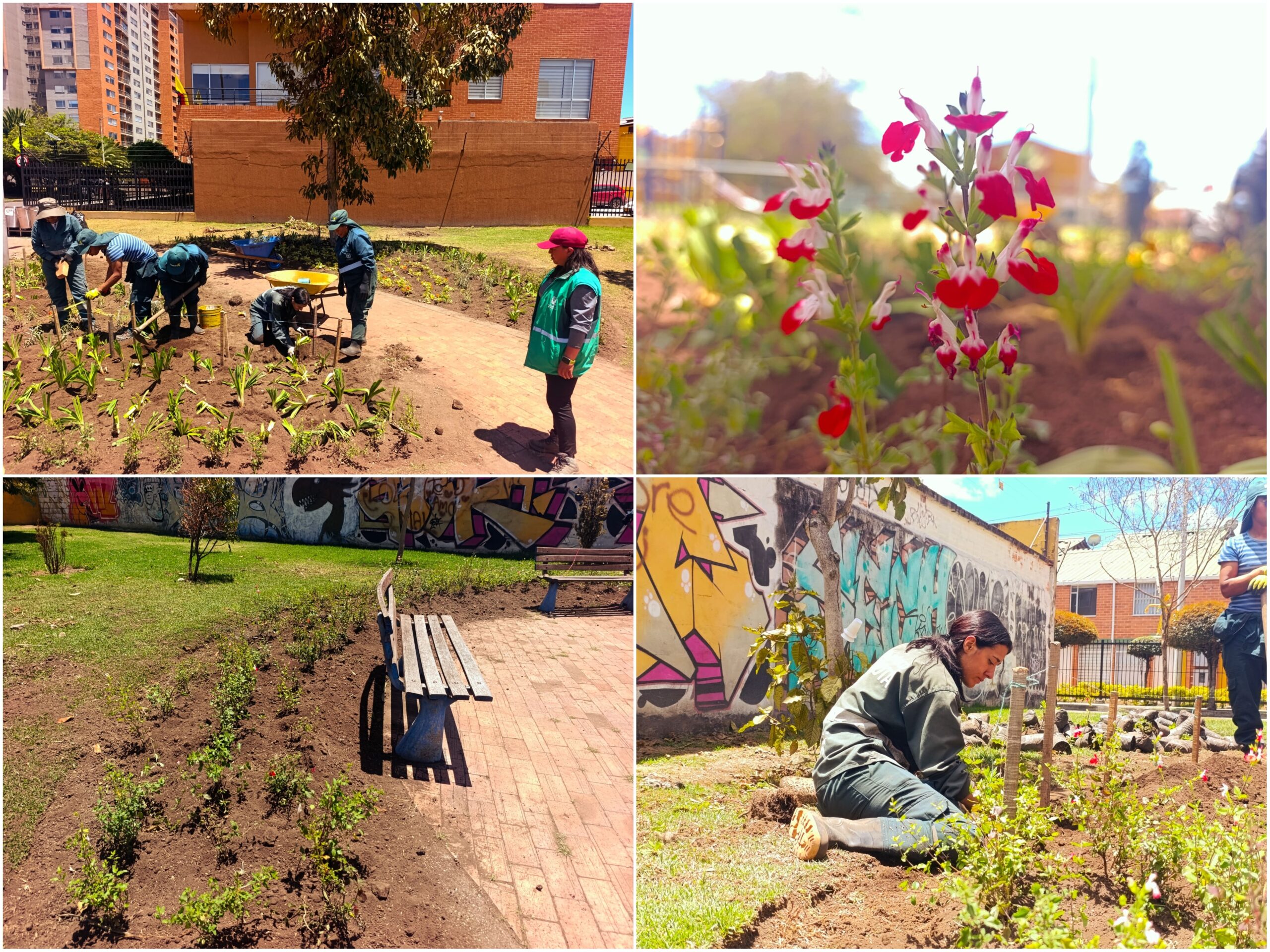 Historias del verde urbano: ¡Nace un nuevo hogar para las abejas, mariposas y otros polinizadores en Suba! Historias del verde urbano: ¡Nace un nuevo hogar para las abejas, mariposas y otros polinizadores en Suba!