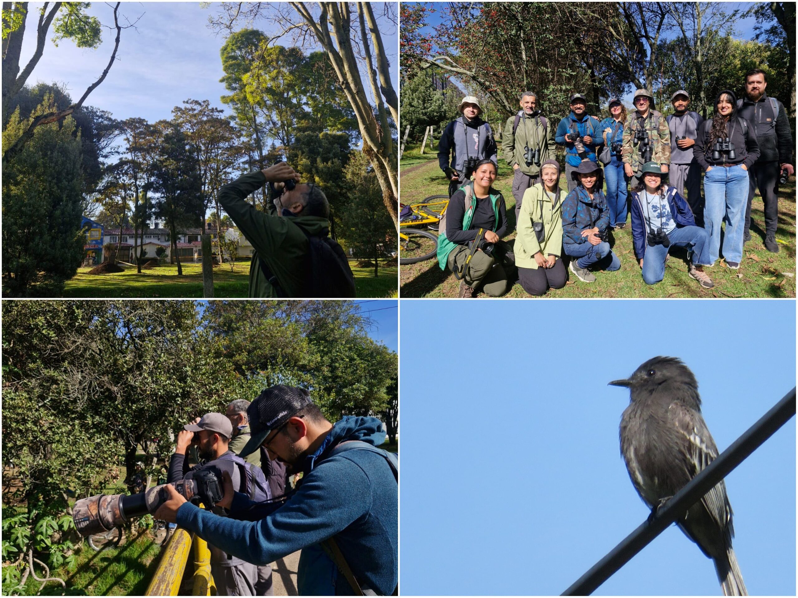 Historias del verde urbano: “Maratón” de actividades ambientales en los bosques urbanos de Bogotá