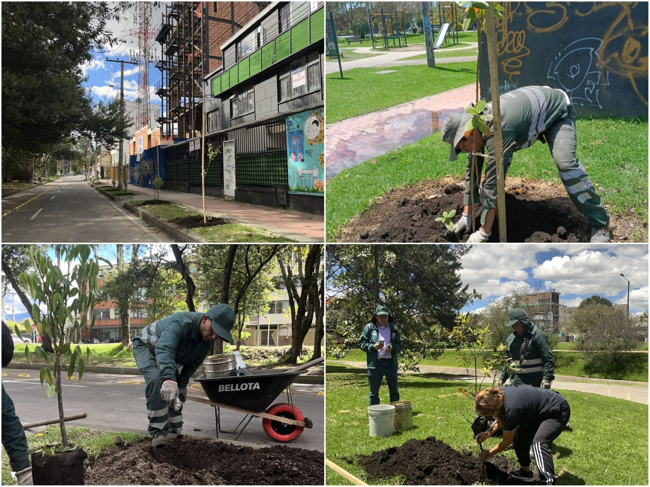 Historias del verde urbano: Bogotá recibió cerca de 500 “regalos verdes” durante la celebración del Día Mundial del Árbol Historias del verde urbano: Bogotá recibió cerca de 500 “regalos verdes” durante la celebración del Día Mundial del Árbol
