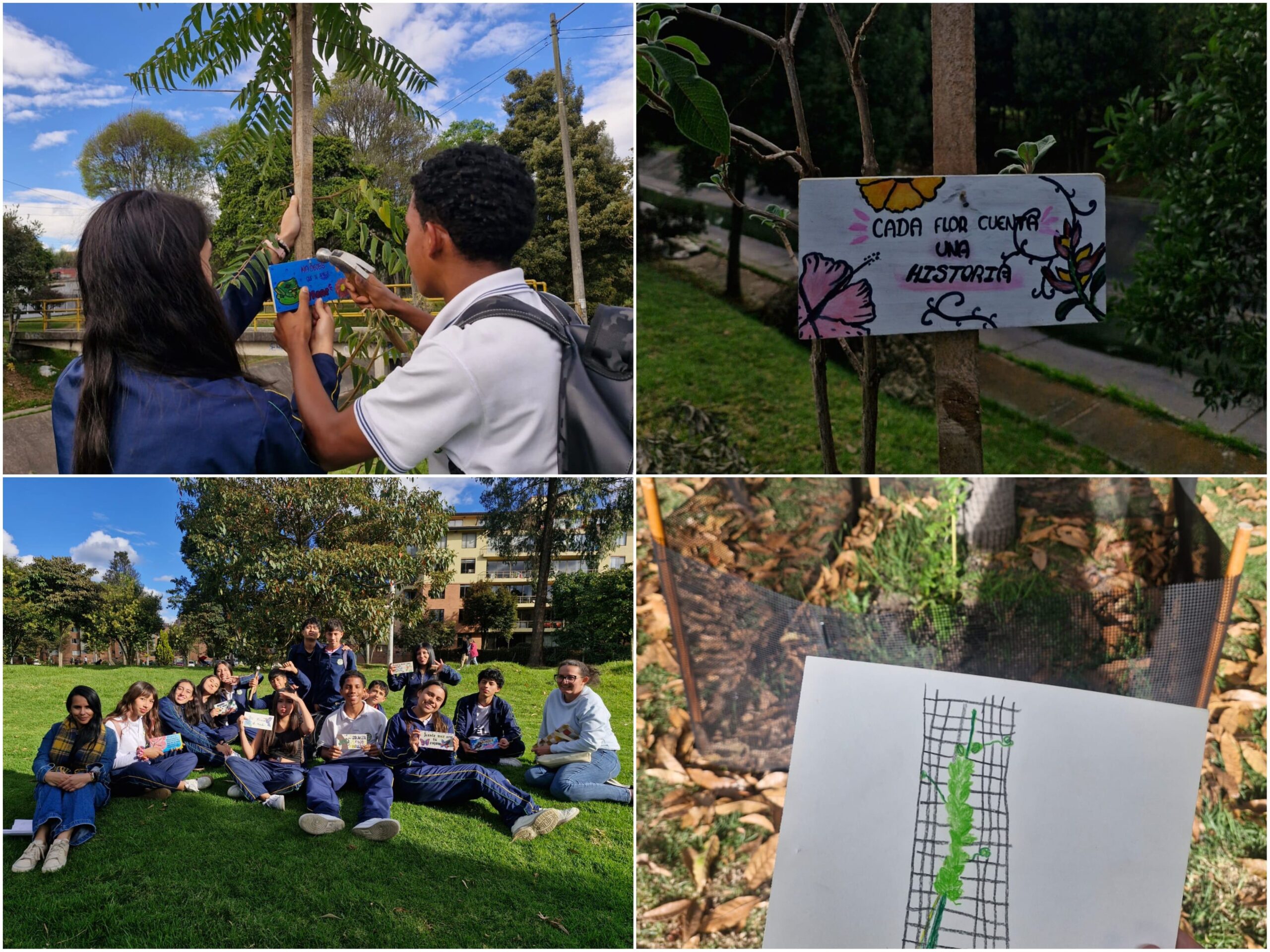 Historias del verde urbano: “Maratón” de actividades ambientales en los bosques urbanos de Bogotá