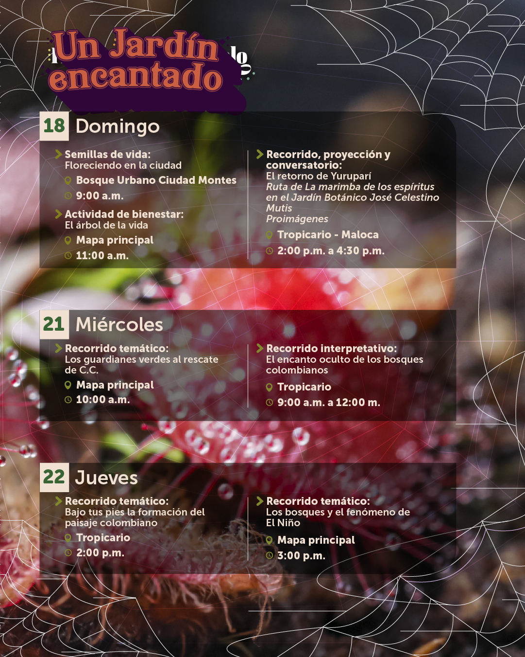 Agenda octubre-7