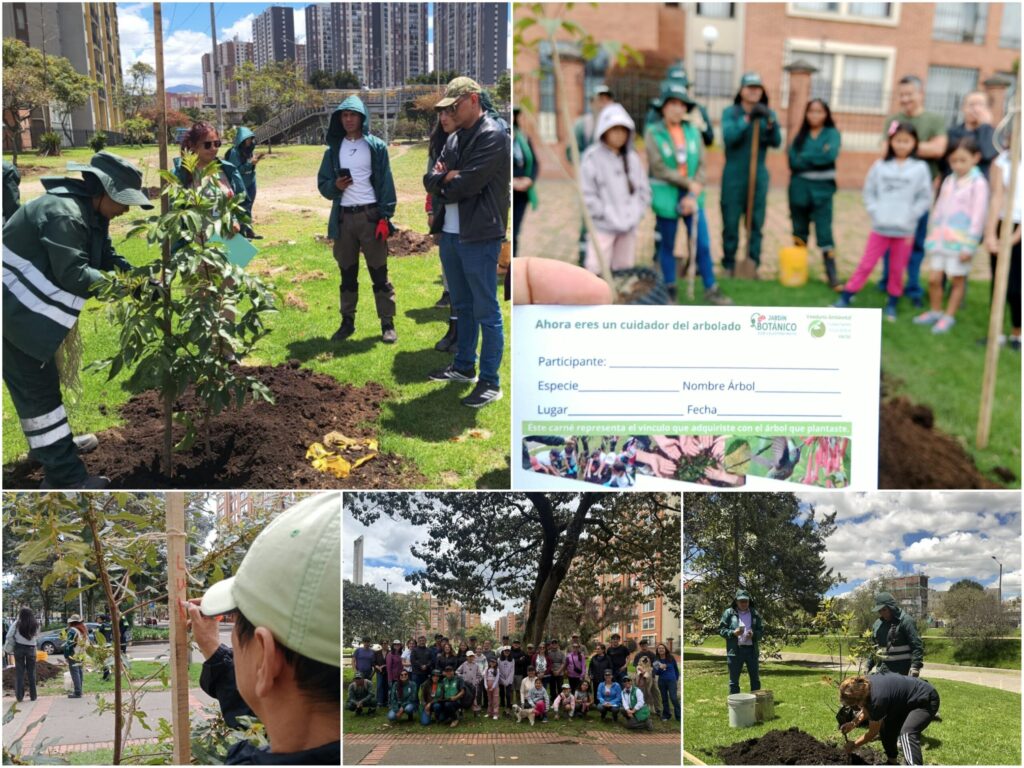 Historias del verde urbano: Bogotá recibió cerca de 500 “regalos verdes” durante la celebración del Día Mundial del Árbol