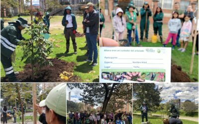 Historias del verde urbano: Bogotá recibió cerca de 500 “regalos verdes” durante la celebración del Día Mundial del Árbol