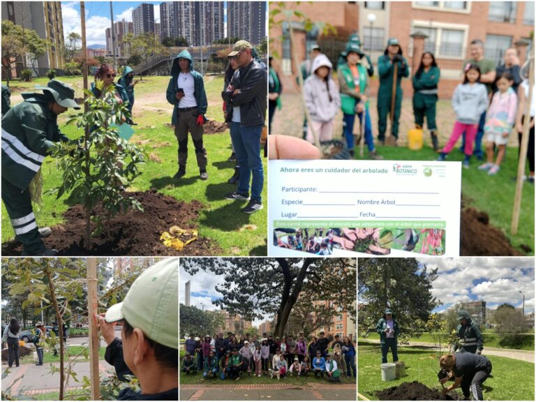 Historias del verde urbano: Bogotá recibió cerca de 500 “regalos verdes” durante la celebración del Día Mundial del Árbol