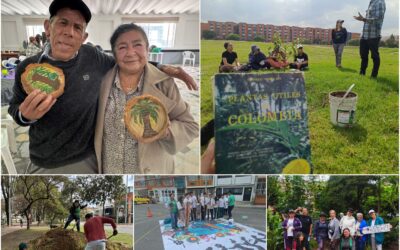 Historias del verde urbano: “Educación ambiental arbórea” en seis localidades de Bogotá
