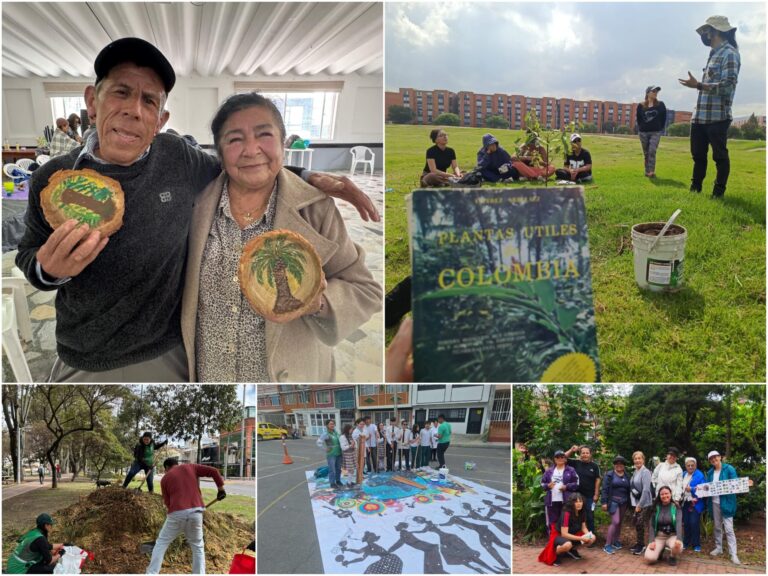 Historias del verde urbano: “Educación ambiental arbórea” en seis localidades de Bogotá