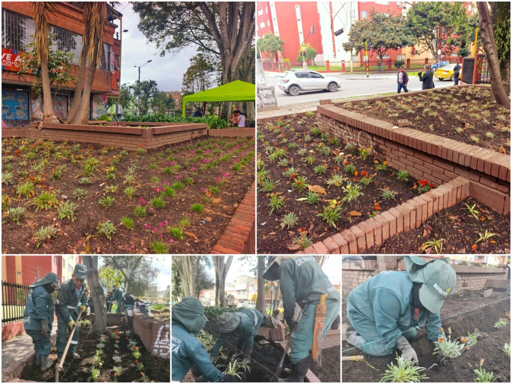 Historias del verde urbano: ¡Dos jardines longevos de Santa Cecilia volvieron a la vida!