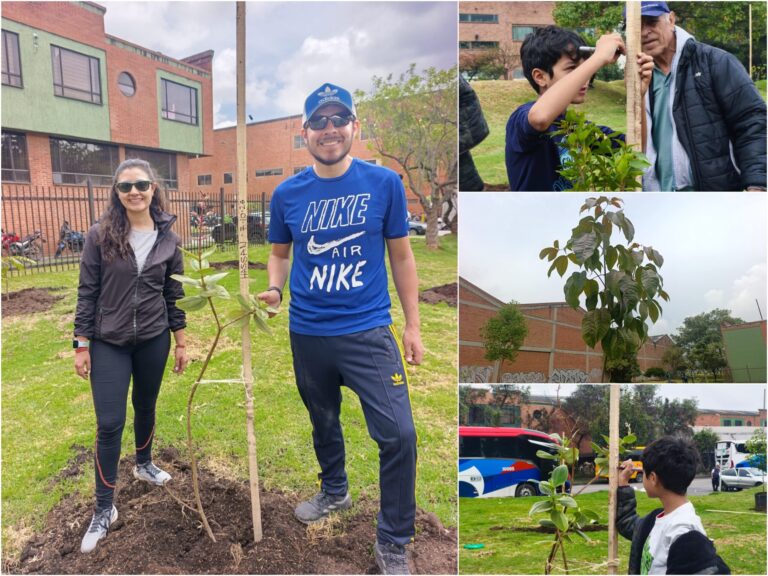 Historias del verde urbano: ¡La renatura