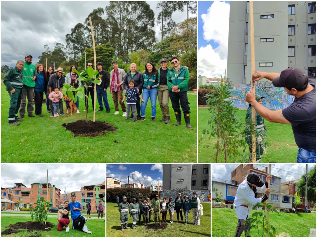 Historias del verde urbano: Cinco parques de Suba se renaturalizaron con más de 100 nuevos árboles y arbustos