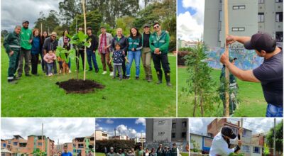 Historias del verde urbano: Cinco parques de Suba se renaturalizaron con más de 100 nuevos árboles y arbustos