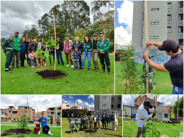 Historias del verde urbano: Cinco parques de Suba se renaturalizaron con más de 100 nuevos árboles y arbustos