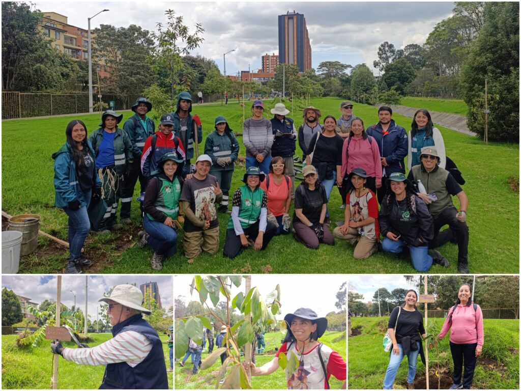 Historias del verde urbano: Canal Boyacá fortaleció su gran tesoro verde: el arbolado